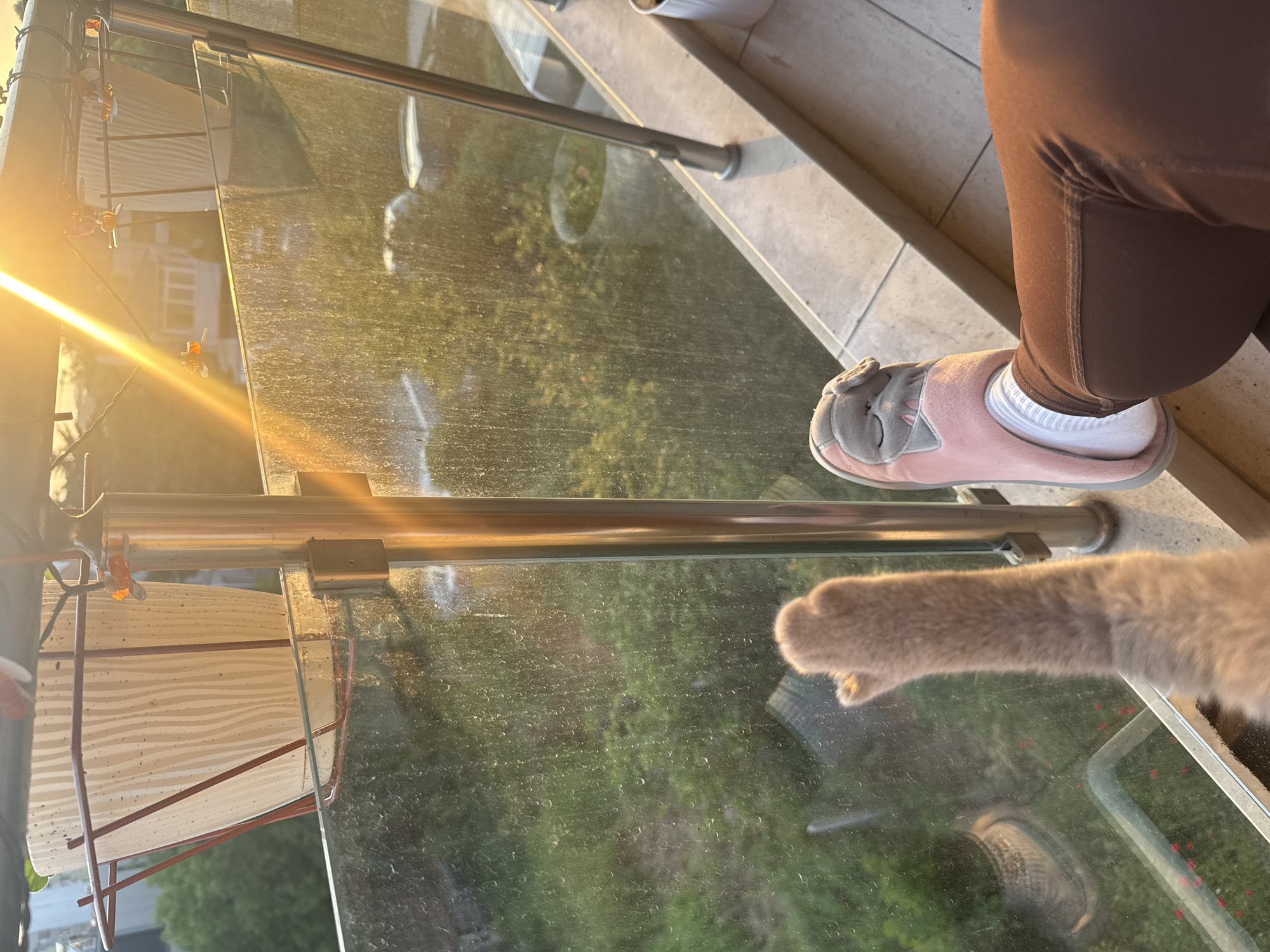 The image displays a detailed view from a residential balcony in Varna, Bulgaria, bathed in the warm, golden light of either sunrise or sunset, which casts strong sunbeams from the upper right.
In the upper section, an overhead structure, possibly a canopy or awning, is visible, from which a string of decorative lights hangs. These lights feature small, amber-colored, pumpkin-shaped ornaments. A textured, off-white planter, supported by a dark red wire frame, is suspended from this overhead structure on the left side. A similar planter is partially visible on the far right.
The mid-ground is dominated by a clear glass balcony railing, heavily speckled with numerous water droplets or residue, which slightly distorts the view beyond. Vertical metallic posts support these glass panels, with one prominent post centrally located and another on the far right. These posts connect to a horizontal metallic bar running along the top of the glass. The glass railing sits on a light-colored, tiled or stone balcony ledge.
Beyond the glass, a lush green landscape of trees and bushes is visible directly below the balcony. Further in the distance, residential buildings with white facades and dark roofs can be discerned through the glass and foliage.
In the lower right quadrant, the lower leg and foot of a person are visible. The person is wearing dark brown leggings or athletic pants, white socks, and a plush pink slipper adorned with a grey animal-face design (possibly an elephant) on the toe. The leg is bent, with the foot seemingly propped up in a relaxed position.
In the lower left quadrant, a light brown, furry limb, identified as a cat's foreleg and paw, extends vertically upwards, with the paw at its apex facing the glass. The fur appears short and soft, and the cat seems to be observing the outside environment through the water-splashed glass.
On the balcony ledge to the far right, a small white cylindrical planter is partially visible. The overall scene suggests a tranquil, domestic moment during the golden hour.