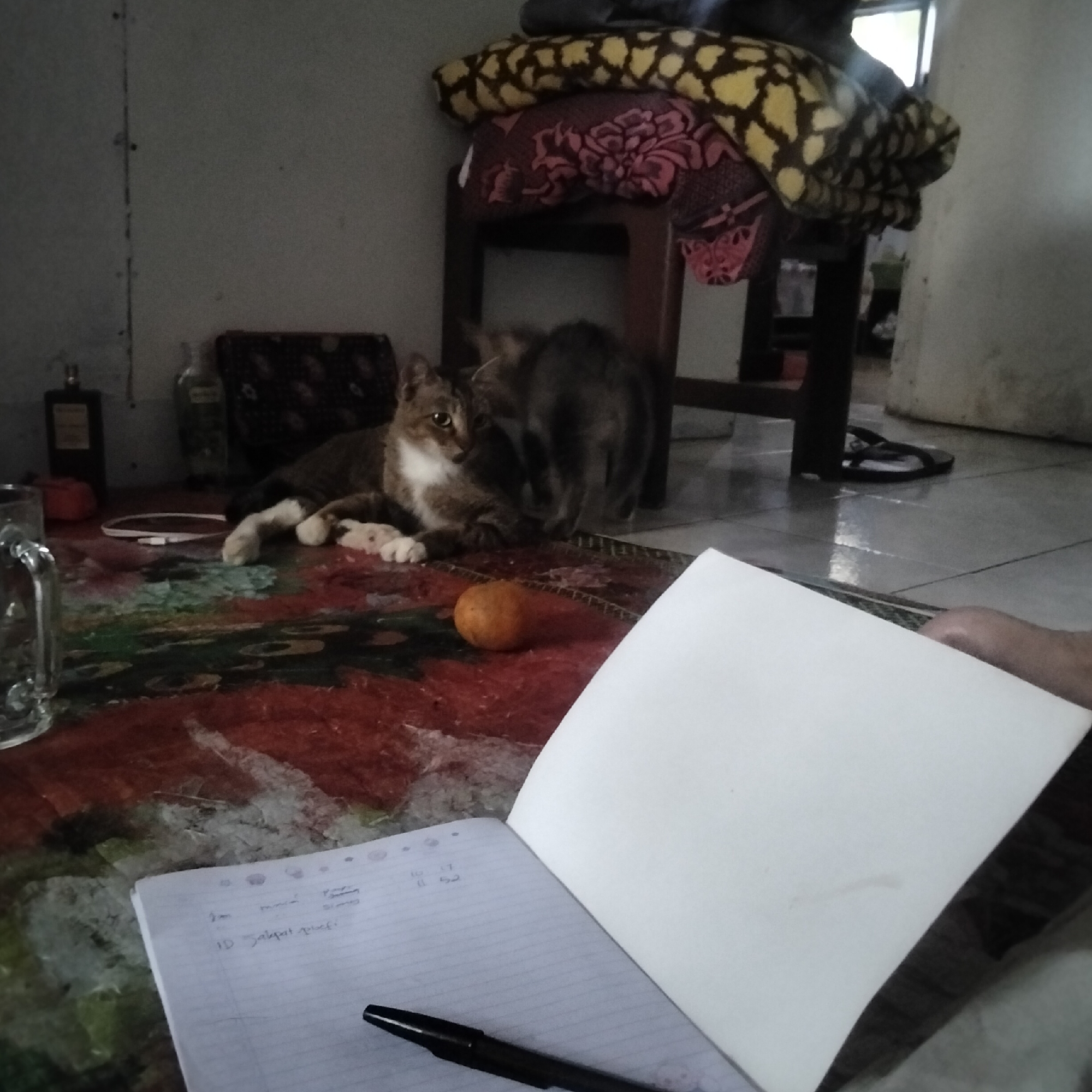 This image depicts a domestic indoor scene, possibly a living room or bedroom, with a cat and its kitten present. The setting is dimly lit, with natural light entering from an unseen window. In the foreground, a notebook lies open with a pen resting on it. The notebook contains handwritten notes and some numbered lists. To the left of the notebook is a glass, and further left are two bottles, one dark-colored and one clear. A vibrantly patterned rug covers the floor. Behind the rug, a small orange object, possibly a fruit, is visible.
In the mid-ground, two cats are present. One cat, likely an adult, is lying down and looking towards the viewer with distinct markings of brown, white, and black. Its eyes are open and attentive. The second cat, a kitten, is partially visible behind the adult cat, with its rear end facing the camera. The cats are situated on a darker patterned fabric that appears to be a mat or a rug.
In the background, a wooden stool is present, draped with several folded blankets. The blankets feature a yellow and black pattern on the top one, and a pink floral pattern on the one beneath it. The overall environment suggests a casual, lived-in space. The image does not contain any overt indications of the specific location within Cisaat, Indonesia, beyond being an indoor residential setting.