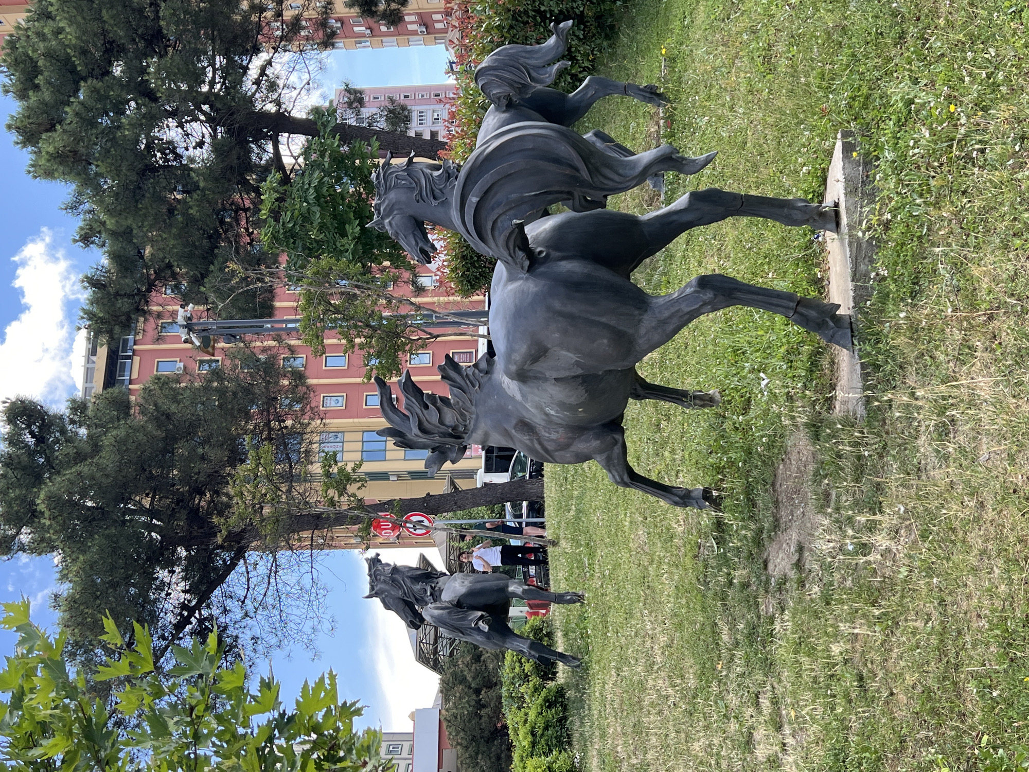 The image depicts a park scene in Ataşehir, Turkey, dominated by a dynamic bronze sculpture of two horses, one appearing to be a foal, in full stride. The horses are rendered with flowing manes and tails, suggesting movement and energy. The sculpture is positioned on a grassy area with scattered small white and yellow wildflowers.
In the background, a modern multi-story building with a reddish-pink facade and numerous windows is visible, hinting at an urban environment bordering the park. Several trees, including a large pine tree with dense foliage and other deciduous trees, are interspersed between the sculpture and the building. The sky is bright blue with scattered white clouds, indicating fair weather.
A person is visible in the mid-ground, standing near a sign with red and white circular markings, possibly a traffic or directional sign. Another person is partially visible in the distance. The overall atmosphere appears to be a pleasant, sunny day in a public park. The perspective is tilted, giving the image a slightly unconventional orientation. No legible text is clearly visible beyond the signage in the background.