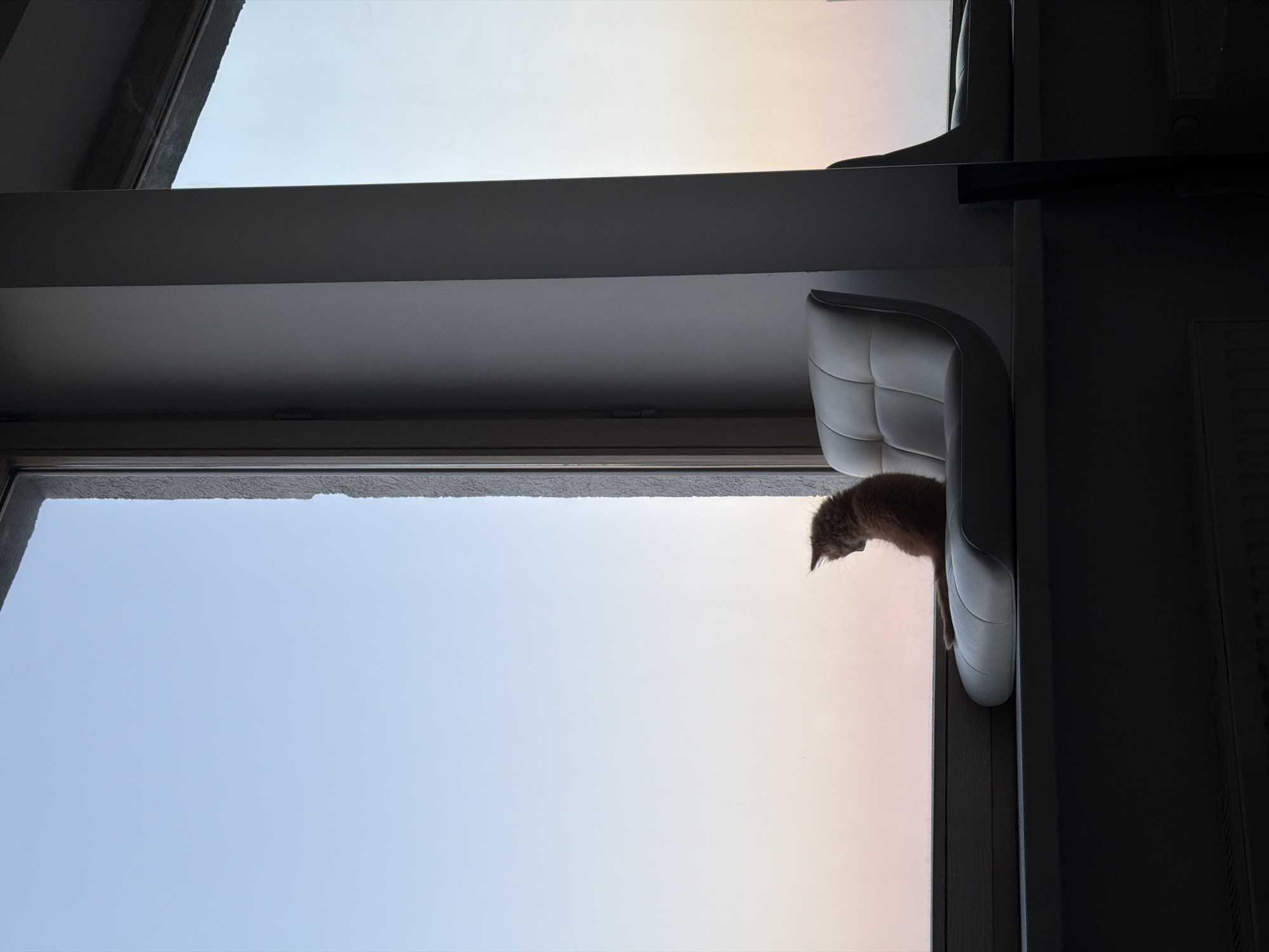 The image shows the interior of a room in Moscow, Russia, featuring a window view. A ginger cat is perched on a white cushioned structure against the window, gazing outward. The window frame is dark gray. The view from the window reveals a sky gradient transitioning from blue to pink, suggesting either sunrise or sunset. The interior is partially shadowed, particularly on the right side, obscuring further details of the room.
