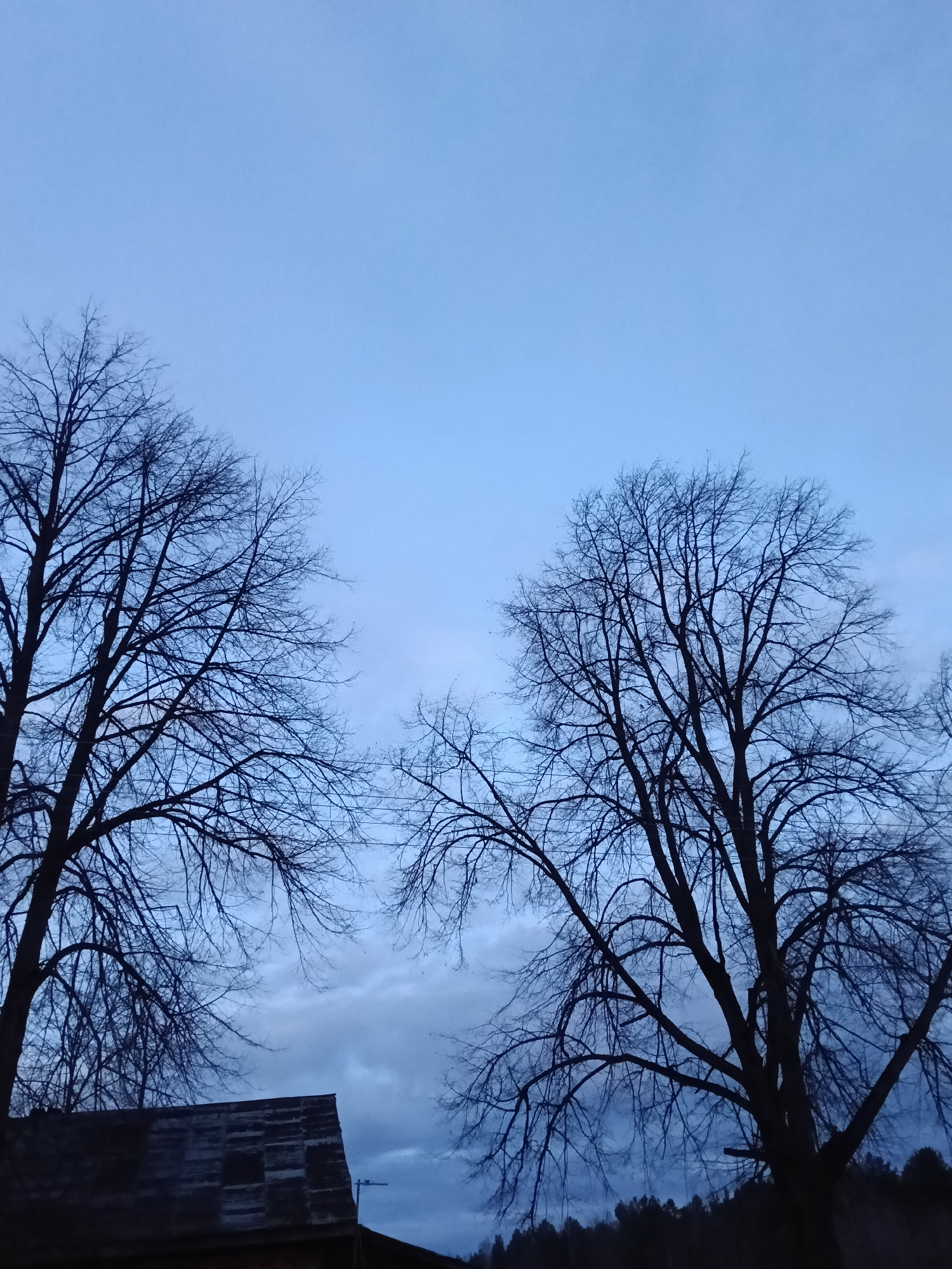 The image depicts a twilight scene in what appears to be a rural or suburban area of Красный Маяк, Russia. Two bare trees dominate the foreground, silhouetted against a predominantly blue sky. Some clouds are visible below the trees. At the bottom left corner of the image, a dark, partially visible structure resembling a roof is present. A line of trees is barely visible in the distant background. There are no people visible. The overall atmosphere is still and quiet, suggesting a moment of transition between day and night.