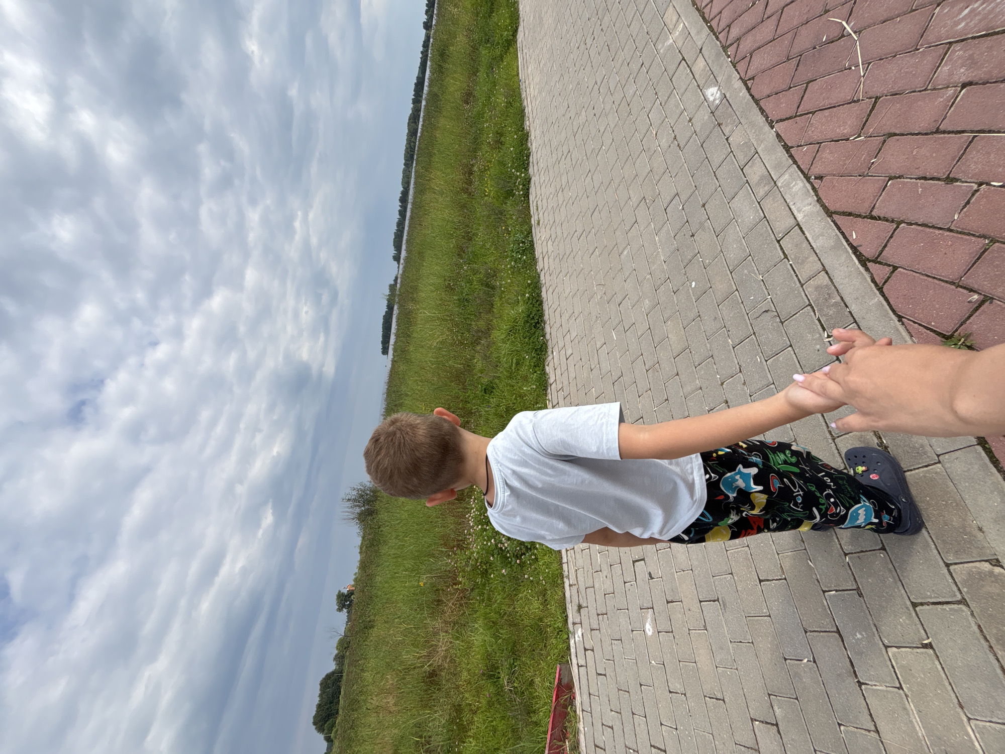 A young boy, viewed from behind, walks on a brick pathway, holding hands with an unseen person. The boy wears a light blue t-shirt and black pants adorned with a colorful cartoon pattern. He has short brown hair and is wearing dark blue Crocs with a charm. To the left of the pathway is a grassy slope dotted with small white flowers, and further back, a line of trees and a body of water. The sky above is cloudy and overcast. The location is likely Breytovo, Russia, given the context.