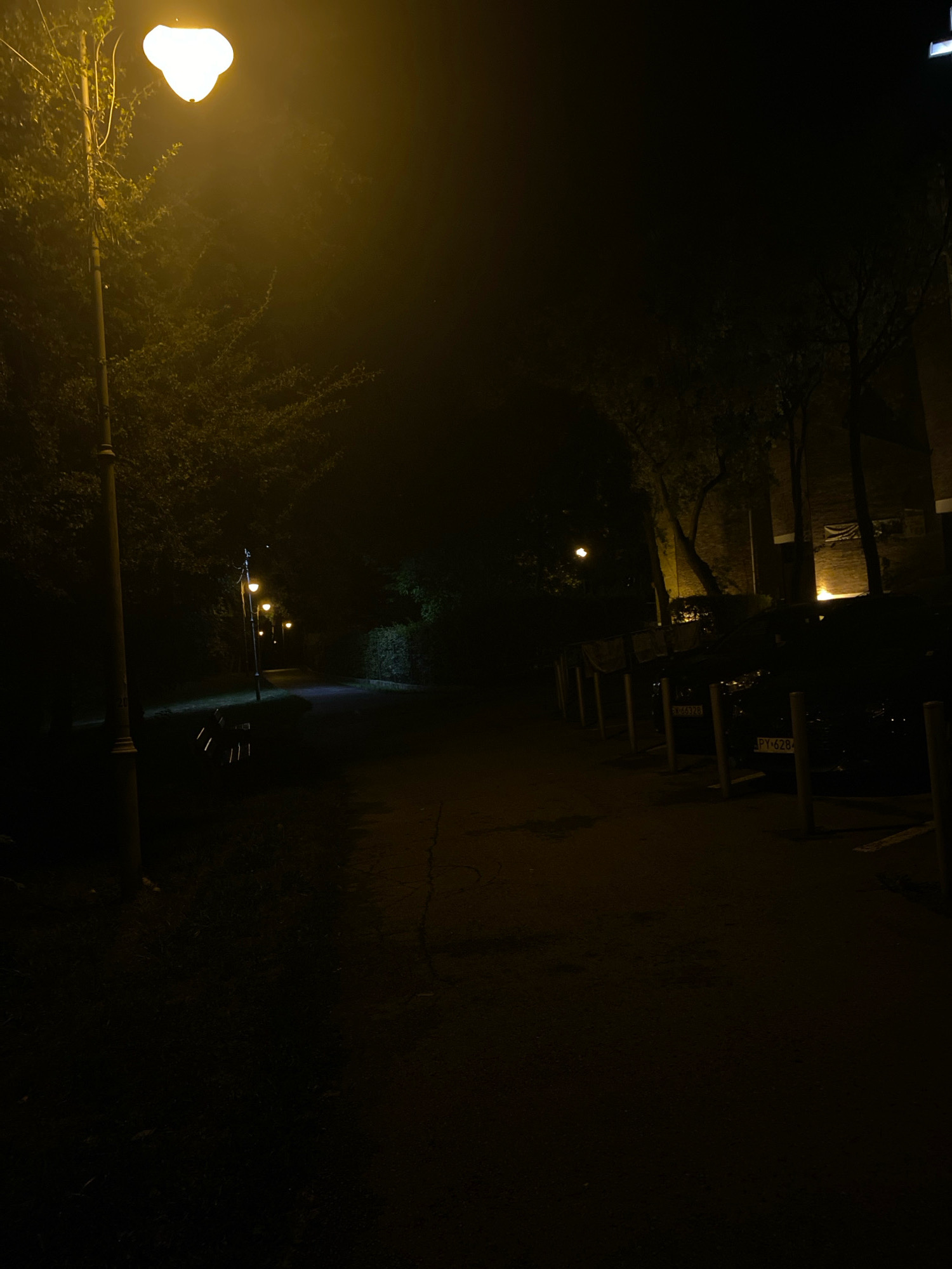 The image depicts a nighttime scene in Katowice, Poland, specifically showing a path in a park or green space illuminated by streetlights. The lighting is dim and yellow, casting long shadows. To the left, a prominent streetlight with a bright, diffused yellow glow stands next to a tree with dark foliage. Further along the path, a series of similar streetlights are visible, receding into the darkness. There are trees and dense vegetation on either side of the path. In the mid-ground, to the left of the path, a park bench is visible, illuminated by the streetlight. To the right side of the frame, a row of parked cars is partially visible, with their license plates unclear due to the low light. The ground appears to be a paved path, possibly asphalt or gravel, with some scattered debris or leaves. The overall atmosphere is quiet and slightly eerie due to the darkness and sparse lighting.