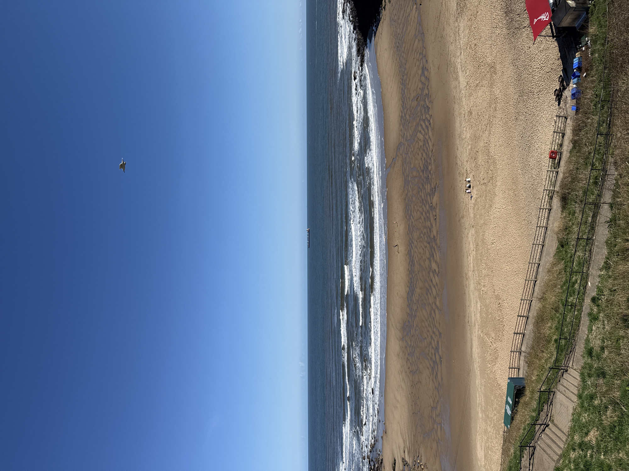 The photograph depicts a coastal scene, likely a beach, on a clear day. The sky is a vibrant blue, with a single bird visible in the upper left. The sea is a darker blue-gray, with white waves crashing onto the sandy beach. The sand is light brown. A path runs along the right edge of the beach. The picture features an aerial perspective and appears to be taken from high above. The location is a beach in North Tyneside, UK. The environment is a sunny, coastal area.
