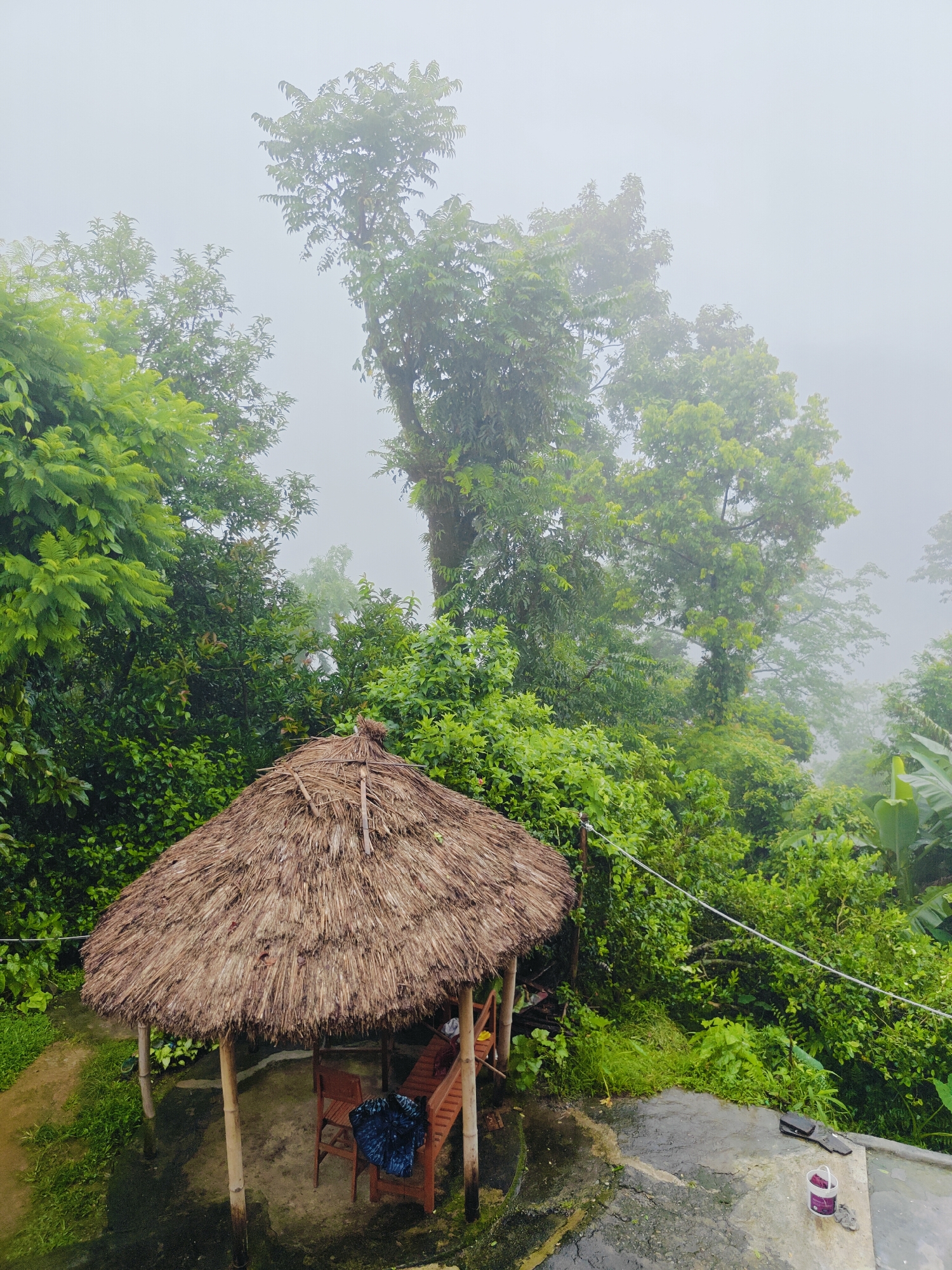 In the city of Pokhara, Nepal, a thatched-roof gazebo stands amongst lush greenery, shrouded in a gentle fog. The gazebo, supported by bamboo poles, shelters two wooden chairs and a bench with a dark blue cloth draped over it. To the right of the gazebo, a grey concrete path leads to a small white bucket and a pair of black flip-flops. The surrounding environment is dominated by dense vegetation, with trees and bushes creating a vibrant green backdrop. The mist softens the edges of the landscape, giving the scene a serene and ethereal quality.