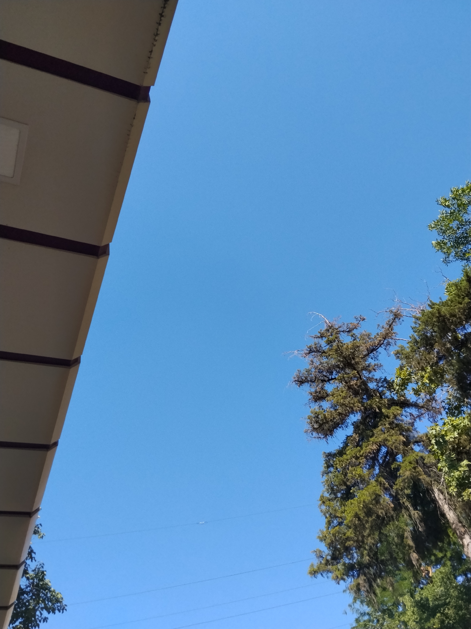 A low-angle shot captures a clear blue sky with the edge of a beige building overhang in the upper left quadrant. The overhang has a dark trim. In the middle right, a dense evergreen tree with some dead branches is visible, and to its right, another tree with green foliage. Two thin, dark wires stretch horizontally across the sky in the lower portion of the image. In the far distance, a small, white object, possibly an airplane or drone, is faintly visible against the sky. The scene appears to be outdoors, possibly in a residential or park area, with a clear day.