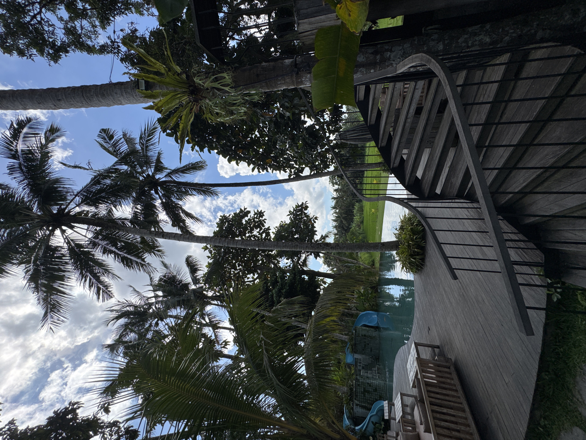 The scene is an exterior shot taken in Peliatan, Indonesia, featuring a swimming pool surrounded by tropical vegetation. Palm trees reach towards a blue sky dotted with white clouds. A wooden deck with lounge chairs sits adjacent to the pool. A partially visible blue slide adds to the recreational ambiance. A wooden staircase with a black metal railing leads to an elevated platform. The overall impression is one of a relaxed, tropical resort setting.