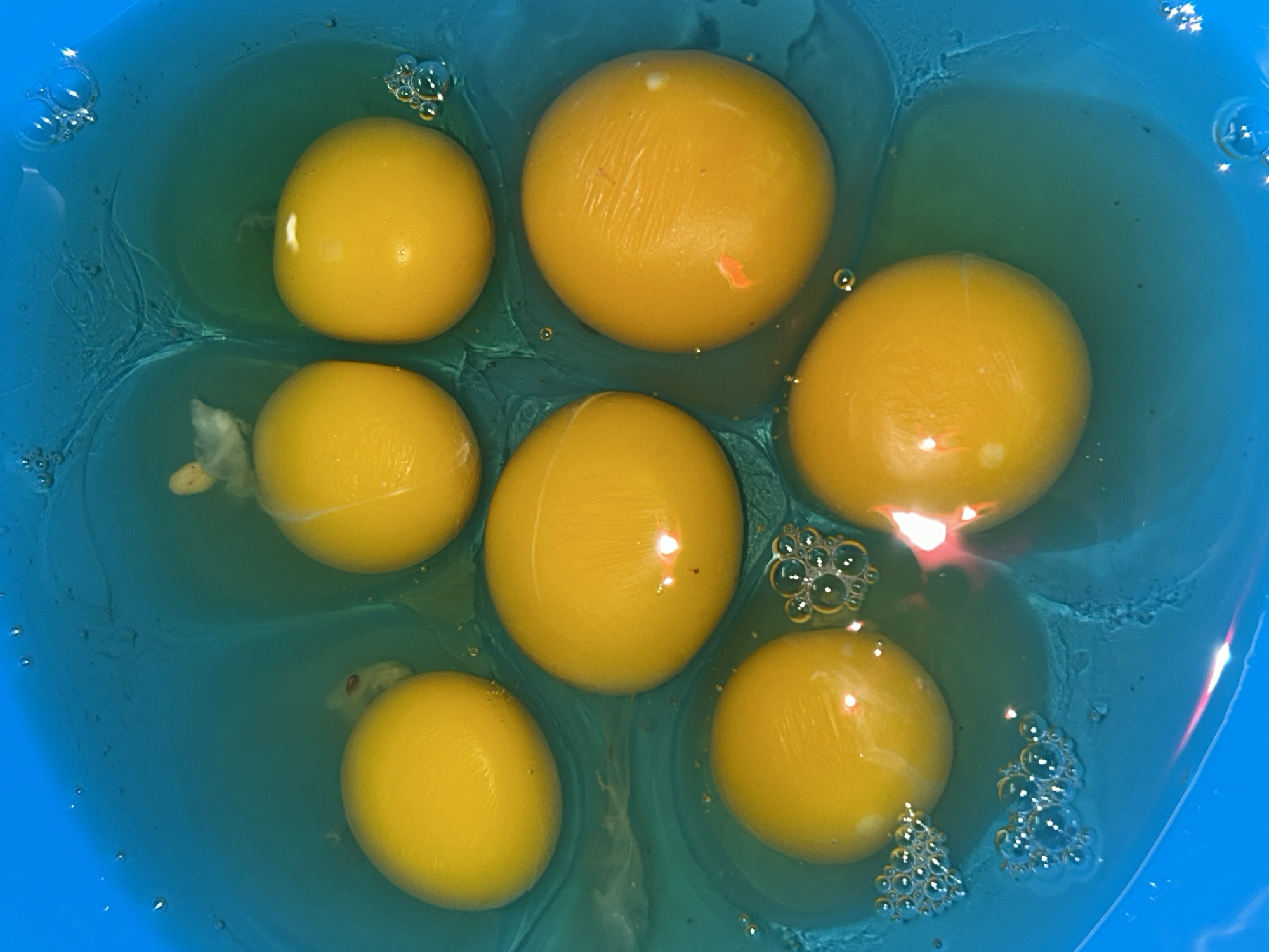 The image shows seven raw egg yolks in a blue bowl. The yolks are arranged centrally within the bowl. There are some bubbles at the bottom right and top left. The location is not specified in the image or accompanying information and therefore cannot be provided.