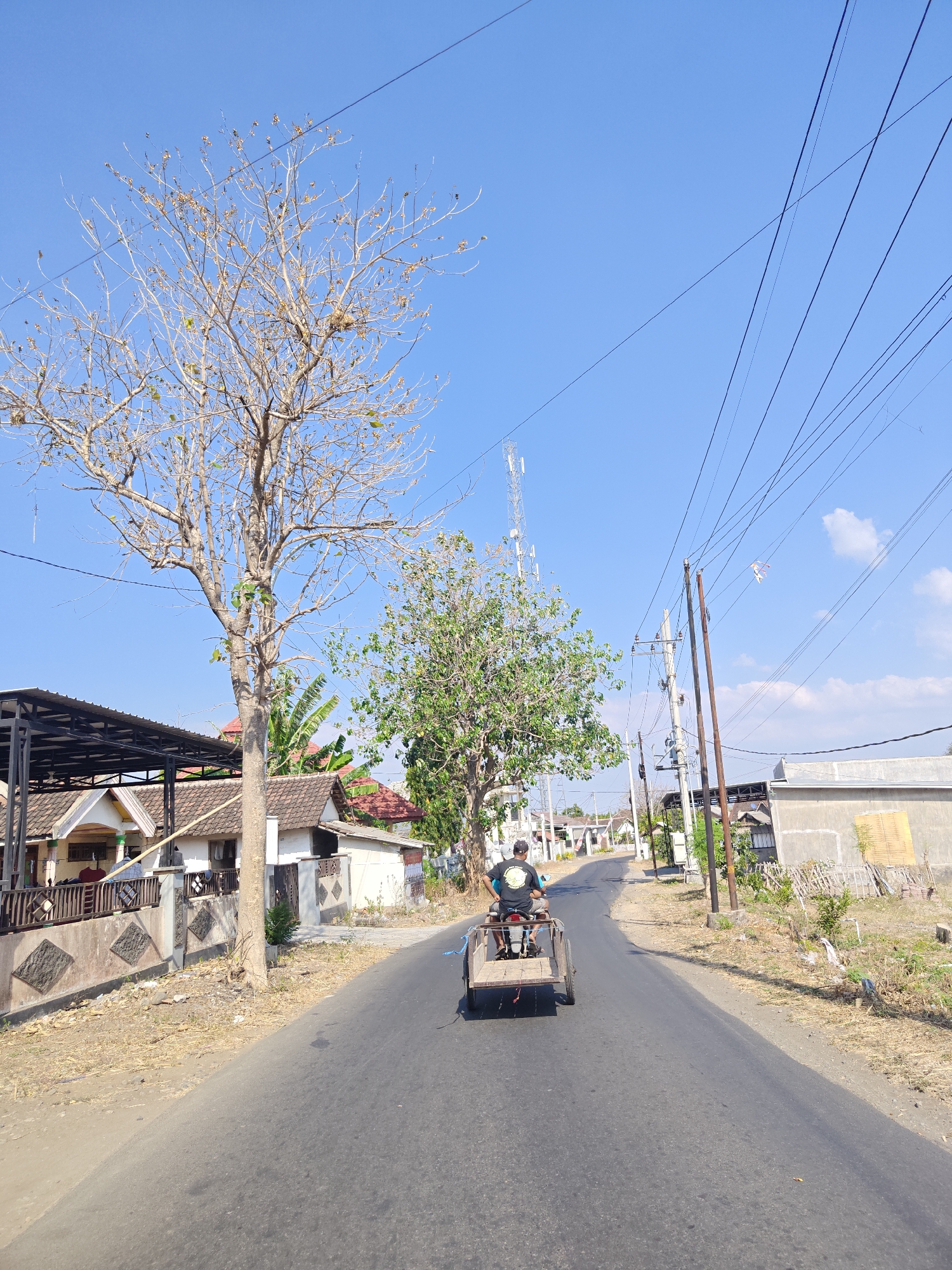 A man rides a motorcycle with a trailer on a paved road in Klampokan, Indonesia, under a clear blue sky. The man is wearing a black t-shirt and the trailer is wooden. The road is bordered by dry grass and vegetation on both sides, with houses and buildings visible in the background. Telephone poles with numerous wires run along the right side of the road. A tall tree with sparse branches stands on the left side of the road, and another tree with green leaves is further down the road. A small white kite with a diamond-shaped design is flying in the sky to the right of the frame. The overall scene depicts a sunny day in a rural or suburban area of Indonesia.