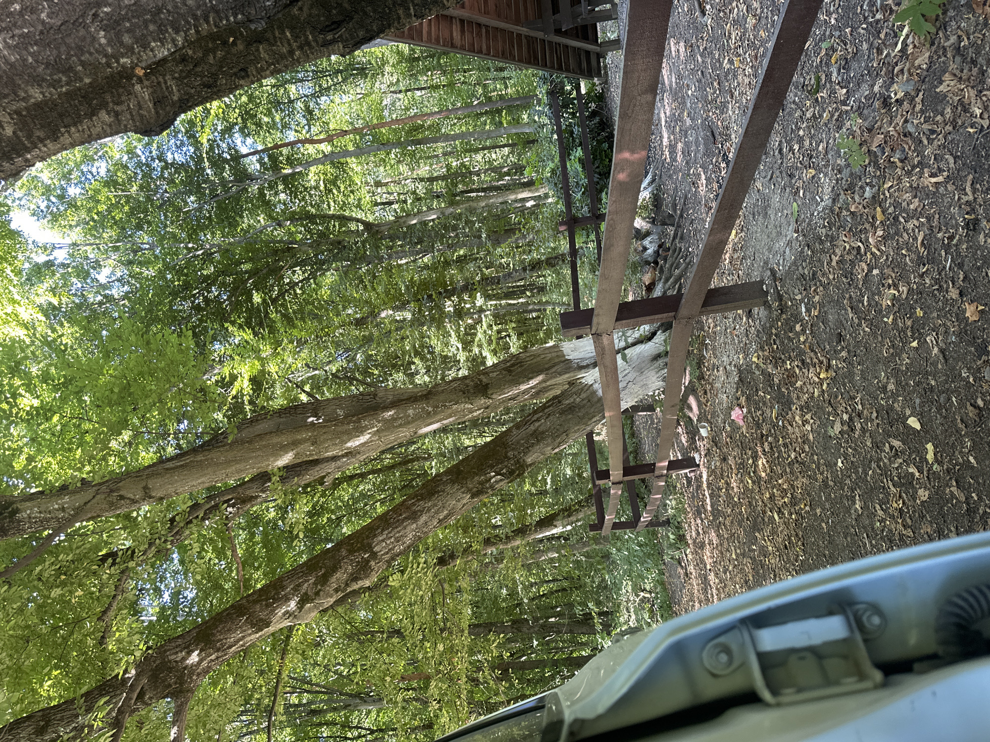 The image depicts a sun-dappled forest scene with a wooden fence in the foreground. The fence, constructed of dark brown wood, runs horizontally across the frame, with vertical posts supporting it. Beyond the fence, a dense forest of green trees creates a lush canopy. Sunlight filters through the leaves, casting shadows on the ground, which is covered with fallen leaves and some sparse vegetation. On the right side of the frame, a portion of a wooden structure, possibly a picnic table or shed with a sloped roof, is visible. In the far left of the image, the edge of a light-colored vehicle is visible, suggesting a parked car. The overall setting appears to be a natural, outdoor environment, likely a park or recreational area within the city of Shatava, Ukraine. There are no people or animals clearly visible in the frame.