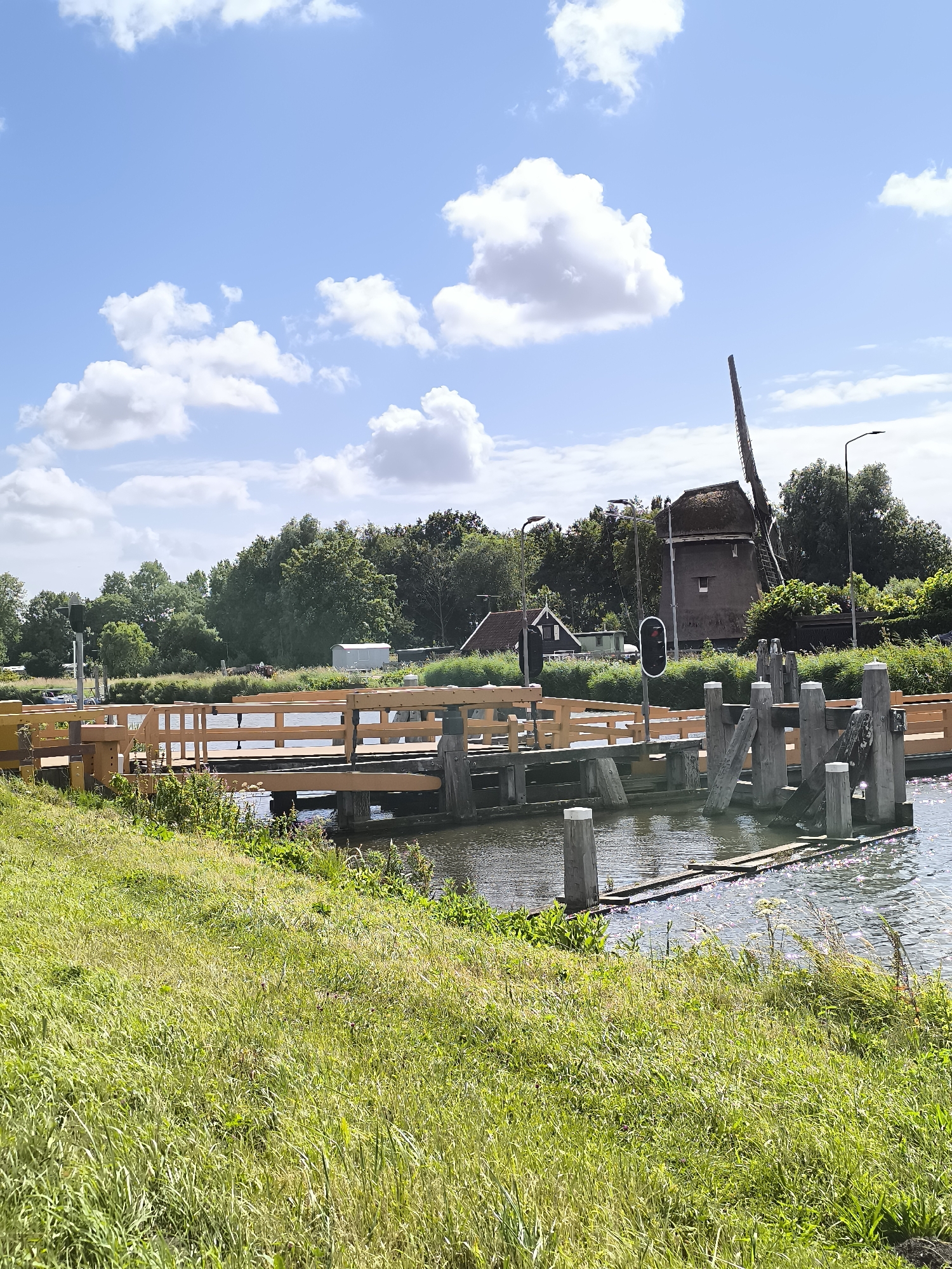 In Koedijk, Netherlands, a wooden bridge spans a body of water under a bright blue sky with scattered white clouds. The bridge has a light brown wooden railing and appears to be a drawbridge or lift bridge, with sections of wooden planks extending into the water. Several wooden posts are visible along the water's edge, some of which are part of the bridge's mechanism. To the right of the bridge, a traditional Dutch windmill with a thatched roof and wooden sails stands prominently. The windmill is surrounded by lush green trees and vegetation. In the background, there are a few houses and buildings, and a traffic light with a red signal is visible near the bridge. The water is calm with reflections of the sky and surrounding elements. The foreground is dominated by a grassy embankment.