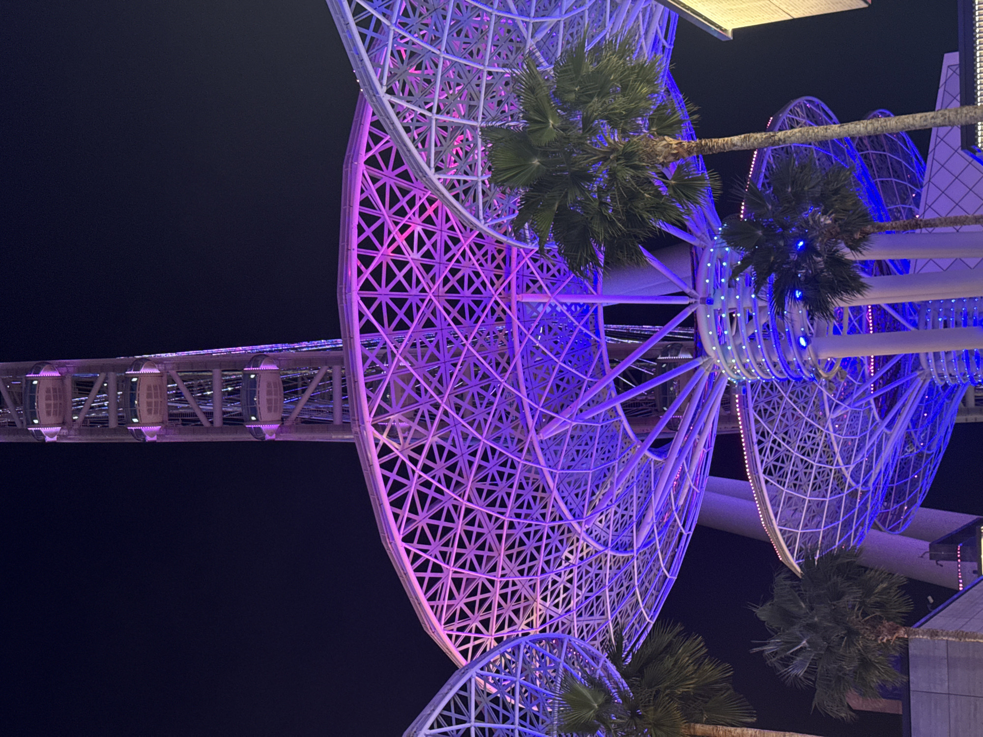 The image shows the Ain Dubai ferris wheel at night. The wheel is illuminated with blue and purple lights. In the foreground, there are palm trees. In the background is a dark night sky. The pods of the wheel are visible at the top left of the image.