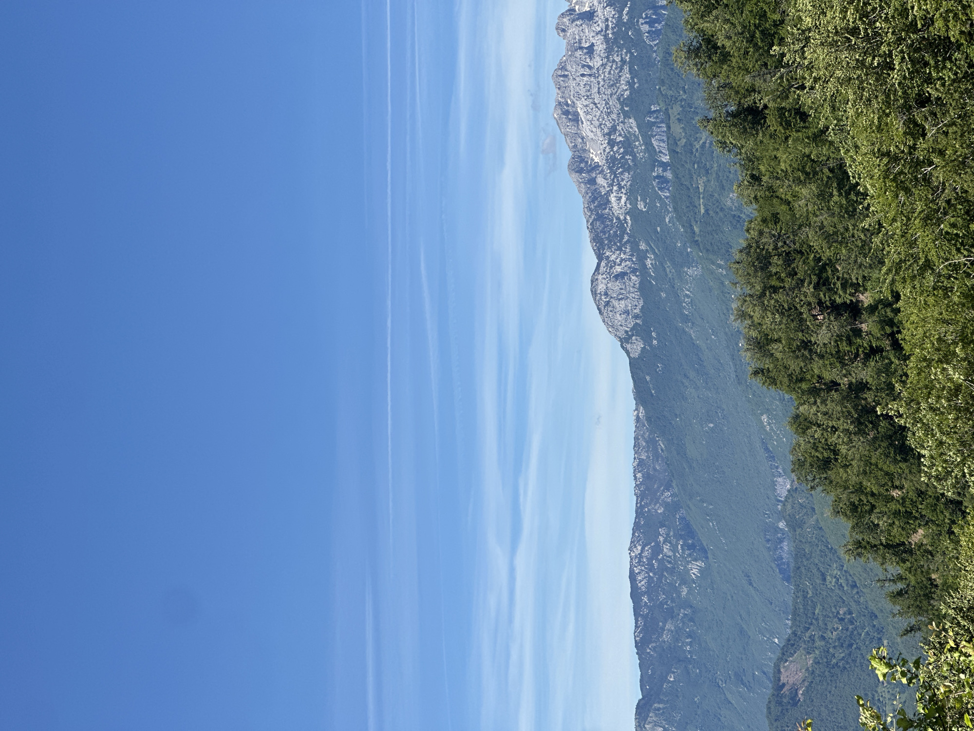 A vertical, full-frame photograph captures a panoramic view of a mountainous landscape under a clear blue sky, likely taken in or near Crkvine, Montenegro. The upper half of the image is dominated by a vibrant, cloudless blue sky, with faint, horizontal streaks of white wispy clouds and contrails scattered across it, suggesting a high altitude or clear weather conditions.
The lower half of the image reveals a layered vista of rugged mountains and dense green vegetation. In the foreground, a thick canopy of lush green trees and foliage dominates the bottom third of the frame, with some leaves appearing slightly out of focus. These trees form a natural, verdant barrier, suggesting the vantage point is from a slightly elevated position within a forested area.
Beyond the immediate foreground, the landscape transitions into rolling hills covered in deep green, dense forests. These hills recede into the middle ground, showing contours and valleys that are partially obscured by the sheer volume of trees. Further in the distance, a prominent mountain range rises, characterized by its jagged, rocky peaks. These mountains are a mix of grey rock, with patches of what appears to be snow or lighter-colored rock scattered across their exposed surfaces, indicating significant elevation and a rugged terrain. The texture of the mountains suggests a rocky, arid environment at higher altitudes, contrasting with the verdant lower slopes.
The lighting suggests it is daytime, likely mid-morning or afternoon, with the sun illuminating the scene and casting subtle shadows that define the terrain's contours. There are no visible people, animals, or man-made structures in the frame, making it a purely natural landscape scene. The overall impression is one of expansive natural beauty and rugged, untouched wilderness.