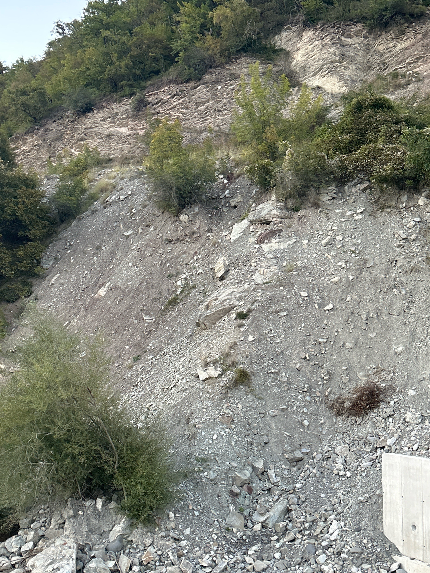 The image shows a steep, rocky hillside covered with loose scree and vegetation, bordering a concrete structure on the right. The hillside is comprised of various shades of grey rock, with some larger boulders interspersed among the smaller gravel. Patches of green shrubbery and trees are scattered across the slope, with a denser cluster of trees at the top of the hill. The concrete structure appears to be a wall or barrier, possibly part of a road or infrastructure project. The scene depicts a natural landscape that has been modified by human construction. This image is not located in the city of Pavleuri, Georgia.