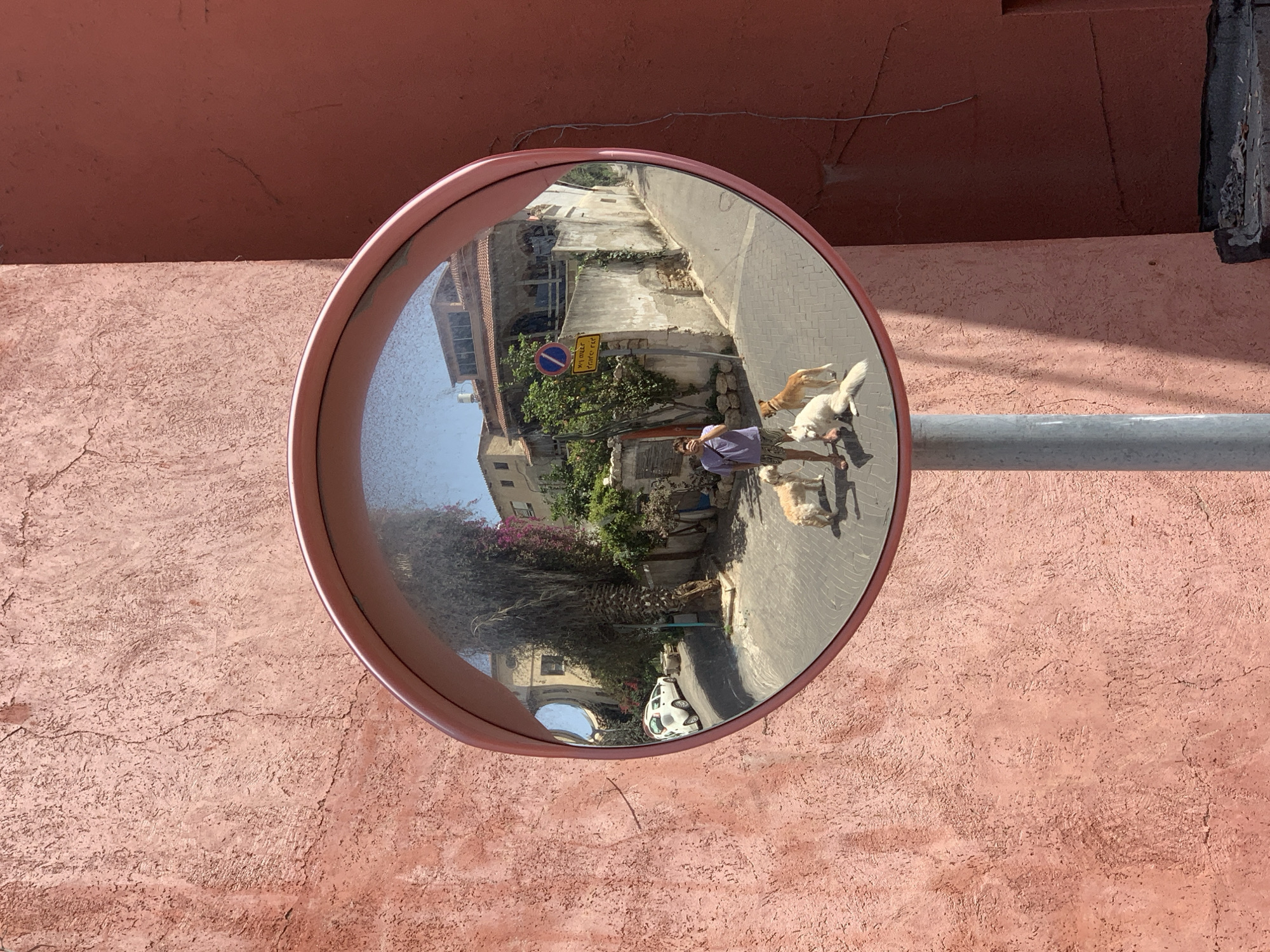 A traffic safety mirror is mounted on a pink wall and reflects a narrow street scene. A man wearing a purple shirt and shorts is walking with several dogs along the street. Buildings line the street, and a road sign is visible. A white car is parked near an archway. The scene appears to be set in a historic neighborhood, potentially in or near Old Jaffa in Tel Aviv, Israel, judging by the architecture and street layout.