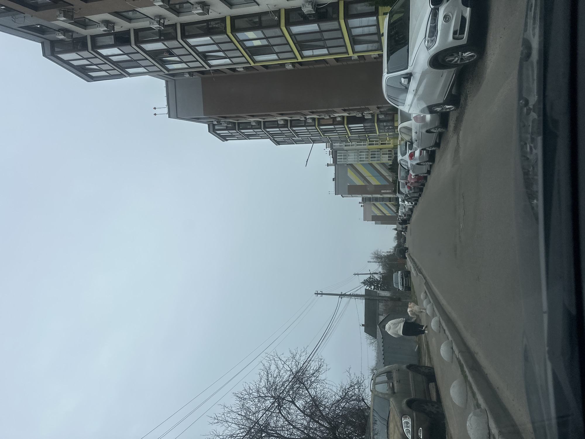 The image shows a street scene in Kyiv, Ukraine on an overcast day. A tall apartment building with a grid of windows and yellow accents stands on the left. A line of parked cars, mostly white, stretches down the right side of the street. Further down the road, a woman in a white jacket walks with a light-colored dog next to a row of white spherical bollards. Beyond them, utility poles and wires are visible against the grey sky. In the foreground, parts of parked cars and bare trees are seen. The image appears to have been taken from inside a vehicle.