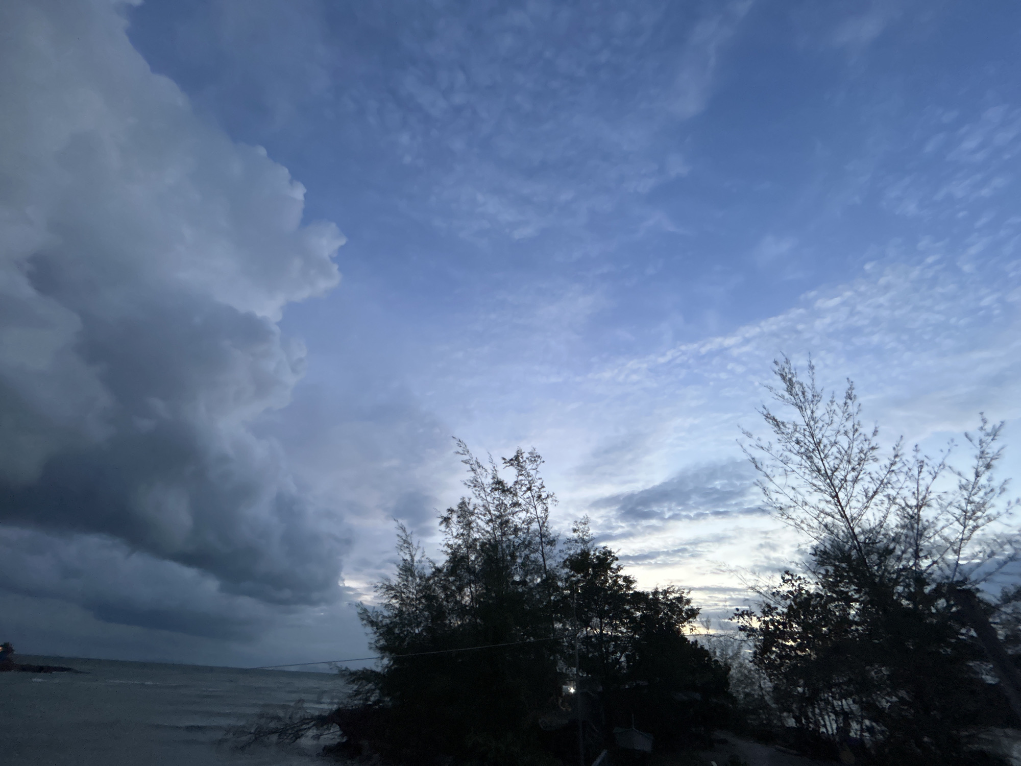 The image depicts a coastal scene at dusk in Ko Pha-ngan District, Thailand. The sky is a dramatic mix of dark, heavy storm clouds on the left and lighter, scattered clouds against a blue backdrop on the right. Below the clouds, silhouetted trees and foliage occupy the foreground, with their branches reaching upwards. The sea is visible in the distance, appearing choppy and grey under the brooding sky. The overall impression is one of an approaching storm or the aftermath of one. There are no people or specific urban structures clearly visible, suggesting a natural or semi-natural setting.