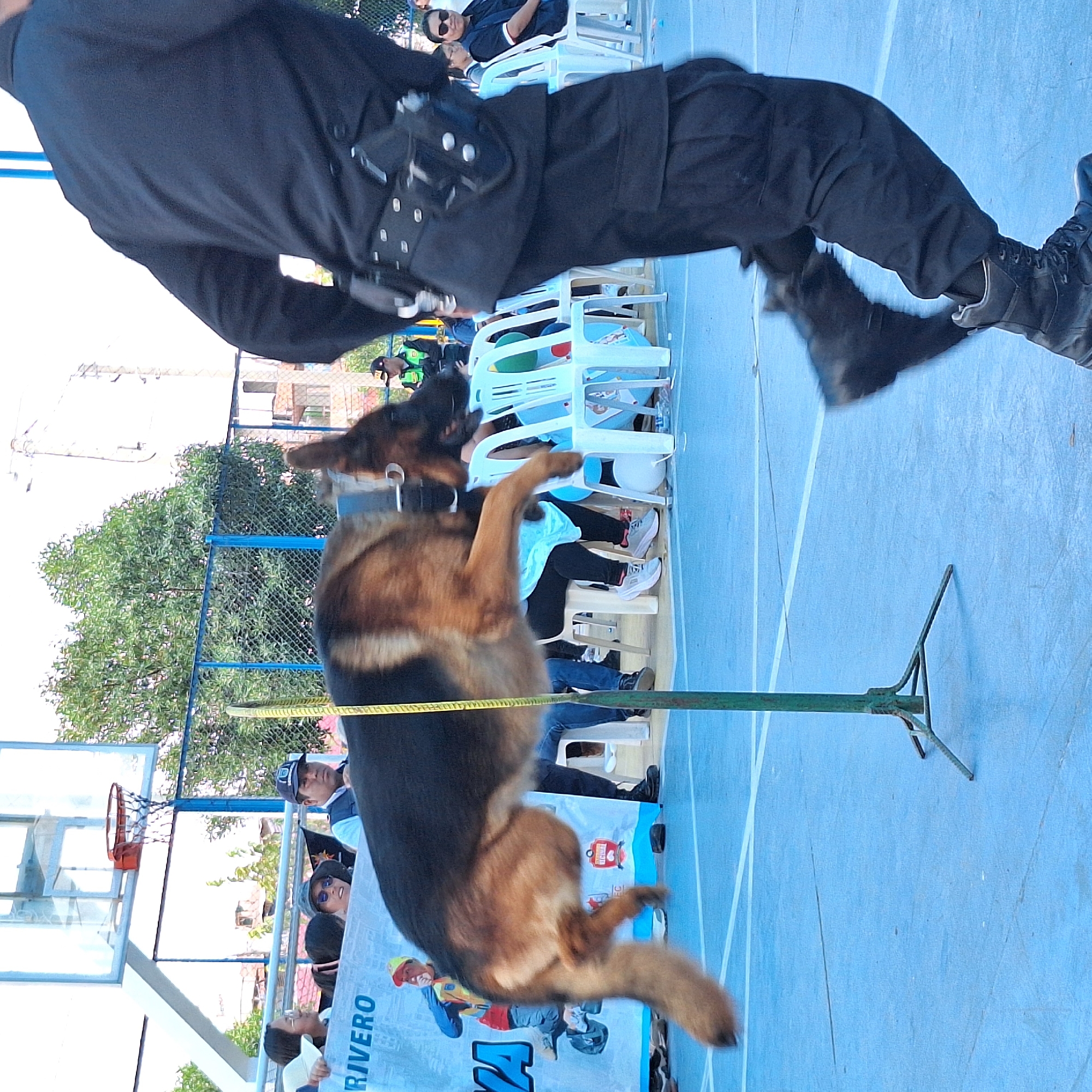 An image taken outdoors in what appears to be José Luis Bustamante y Rivero, Peru, shows a German Shepherd dog mid-jump over a hurdle. A man in a black uniform and boots leaps simultaneously alongside the dog, possibly training or demonstrating a skill. Behind the dog, spectators are seated on white plastic chairs, partially obscured by a banner. A basketball hoop is visible in the background, and the ground is a light blue color.