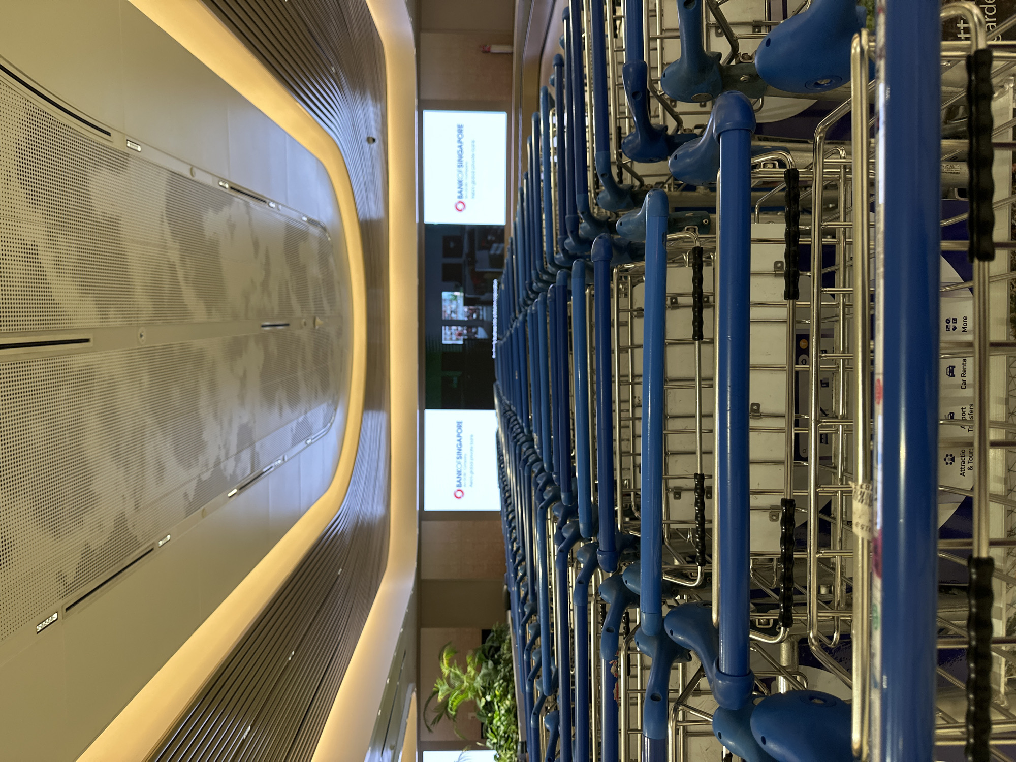 The image shows rows of blue luggage trolleys at an airport. In the background, two screens display the "Bank of Singapore" logo. To the left of the screens, there is a large indoor plant. The ceiling is illuminated with warm light. The trolleys are neatly arranged in multiple rows, suggesting a well-organized area within the airport terminal. The overall impression is one of a modern and clean airport environment in Singapore.