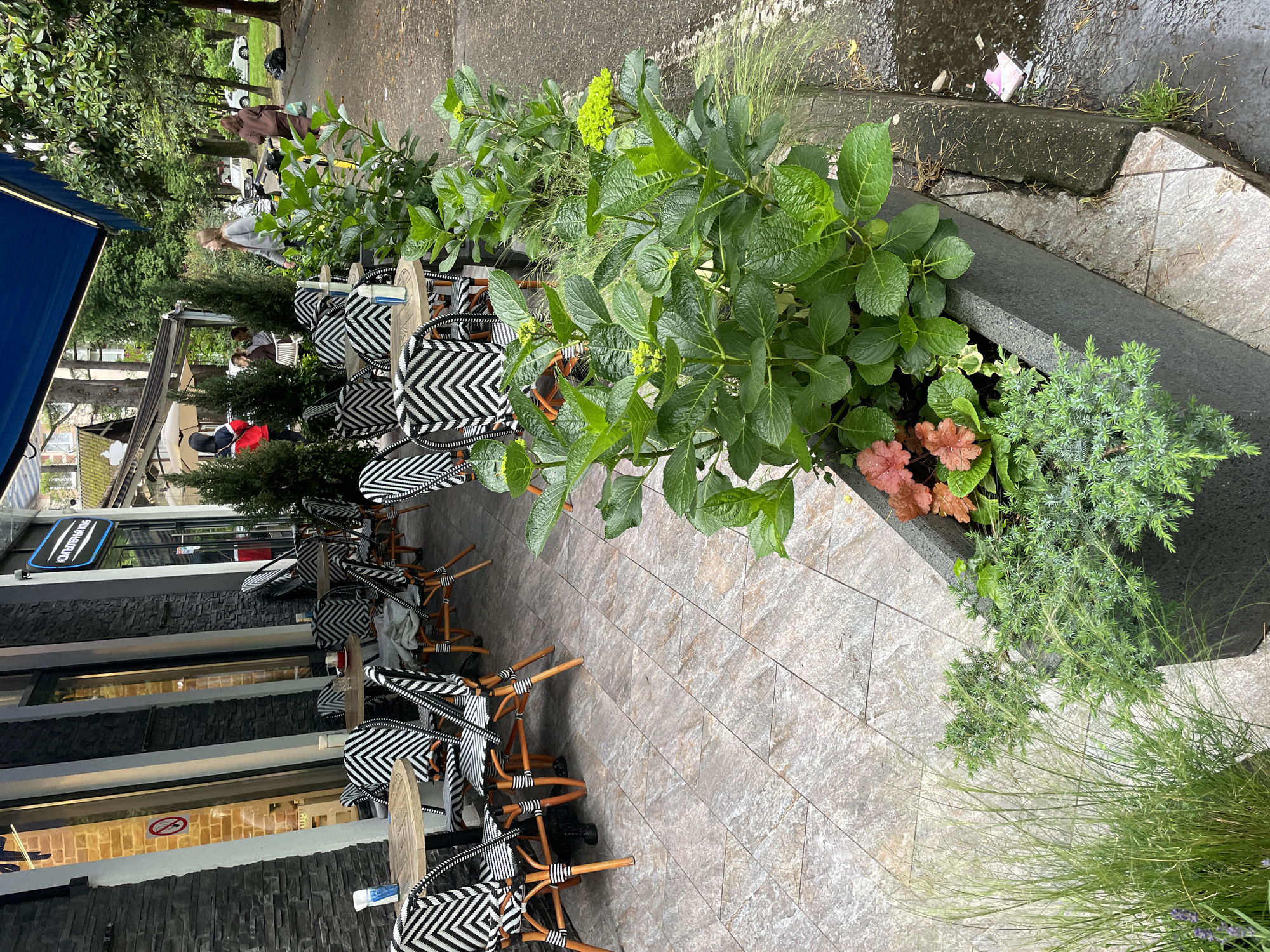 The image depicts an outdoor seating area of a cafe located on a tiled sidewalk. Tables with round wooden tops are surrounded by chairs with black and white patterned woven seats. The cafe's exterior is visible on the left, featuring a dark gray facade with large windows. A blue awning partially covers the outdoor space. Planters filled with various greenery, including hydrangeas and ornamental grasses, run along the edge of the sidewalk, separating the seating area from the street. People are seen walking in the background. The sign "КОНДИТЕРСКИЙ ДОМ" suggests the location may be in Sochi, Russia.