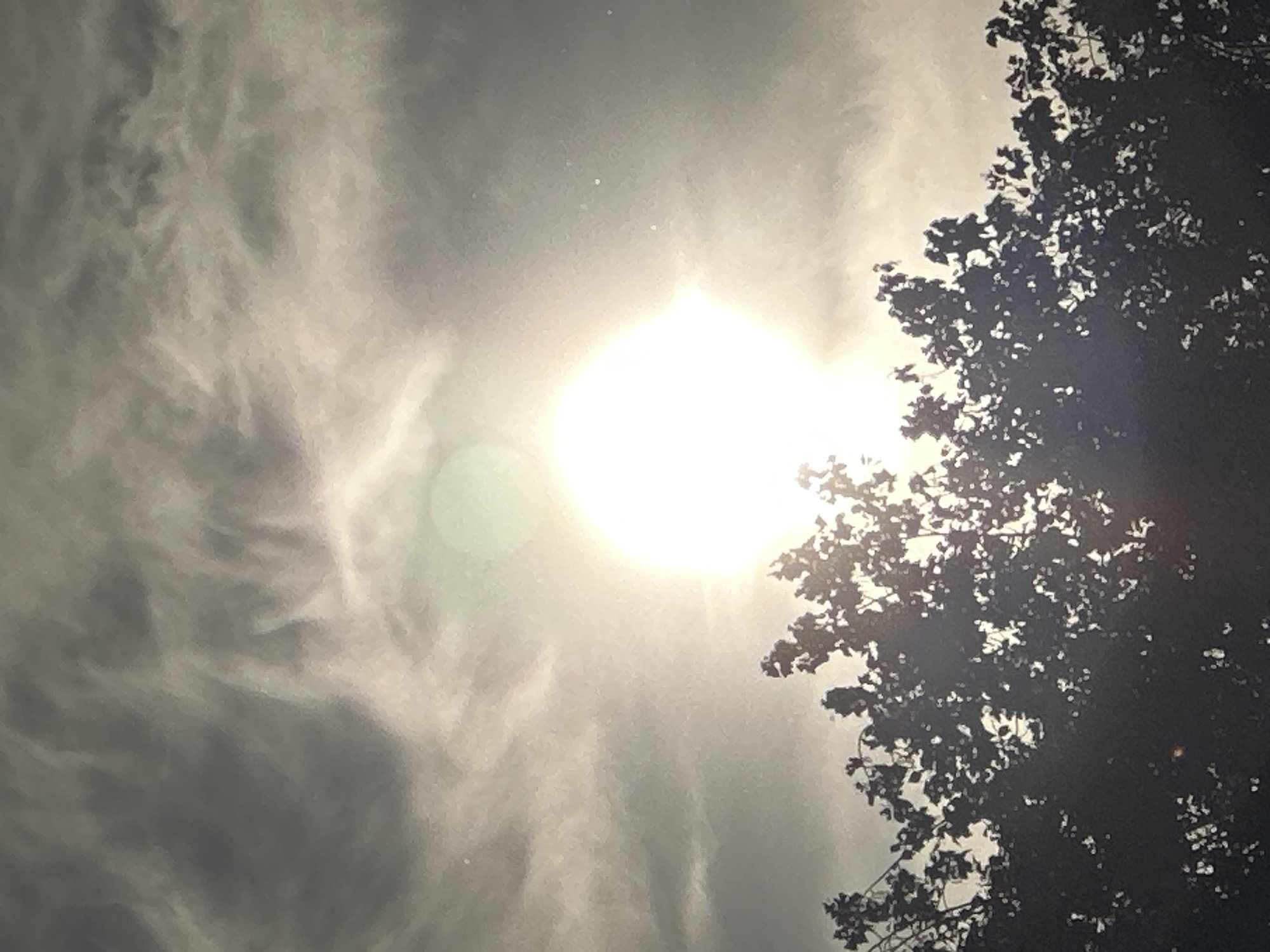 A low-angle, daytime shot of the sky with a bright sun centered, partially obscured by a tree on the right. The sky is filled with swirling, textured clouds, giving the scene a slightly hazy or overcast appearance. The tree is dark and silhouetted against the bright sky.
Location cannot be determined from the image.