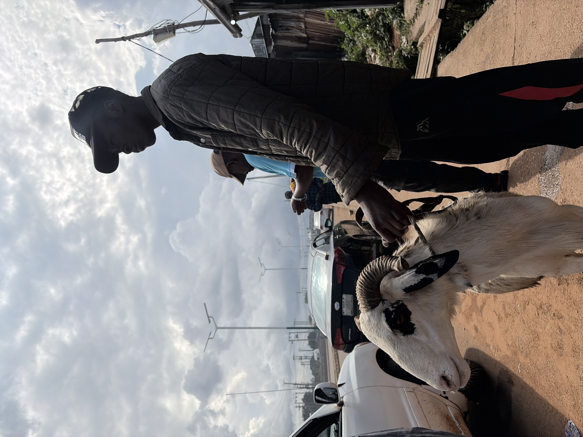 In Bukuru, Nigeria, a young Black man wearing a dark, quilted jacket and a black baseball cap with a white logo stands on a dirt path next to a white SUV. He holds a rope attached to a white ram with large, curved horns and black markings around its eyes and ears. The ram is positioned in the foreground, facing left. Behind the man, another man in a light blue shirt and a tan baseball cap can be seen. In the background, several cars are stopped on a road, suggesting traffic. Streetlights are visible in the distance, along with the cloudy sky. To the right of the path, there's a wooden structure and some greenery.