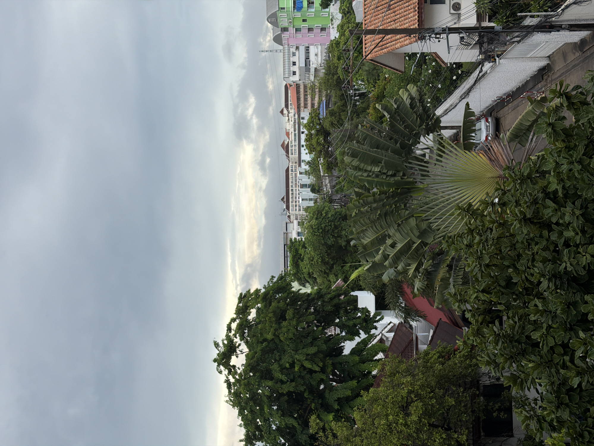 This image presents an elevated view of a residential and urban landscape in Bangkok, Thailand, under a uniformly overcast sky. The upper half of the frame shows a dense, grey cloud cover, indicating a lack of direct sunlight. The lower half is dominated by lush, tropical greenery, featuring several large trees with dark green foliage and distinct Traveler's Palms (Ravenala madagascariensis) identifiable by their fan-like leaf arrangements.
Within this dense vegetation, various structures are visible. On the right side, a white-walled house with a red-tiled roof is partially seen, alongside a sloping concrete driveway. A silver sedan is parked on this driveway, partially obscured by the surrounding foliage. A lone individual is visible near the rear of the silver sedan, their actions indeterminate due to obstruction. A prominent utility pole with numerous tangled electrical and communication wires runs vertically on the right side, extending across the frame. Further into the midground, other residential buildings with red-tiled roofs and white walls are partially obscured by trees.
The background reveals a denser urban environment with multiple multi-story buildings. These include light-colored institutional or residential complexes and distinctively colored buildings, notably a pink structure adjacent to a bright green one on the right side of the background. A tall, slender metal structure, possibly a telecommunications tower, is faintly visible in the far background against the cloudy sky. The scene depicts a typical cloudy day in a verdant, densely developed tropical city.