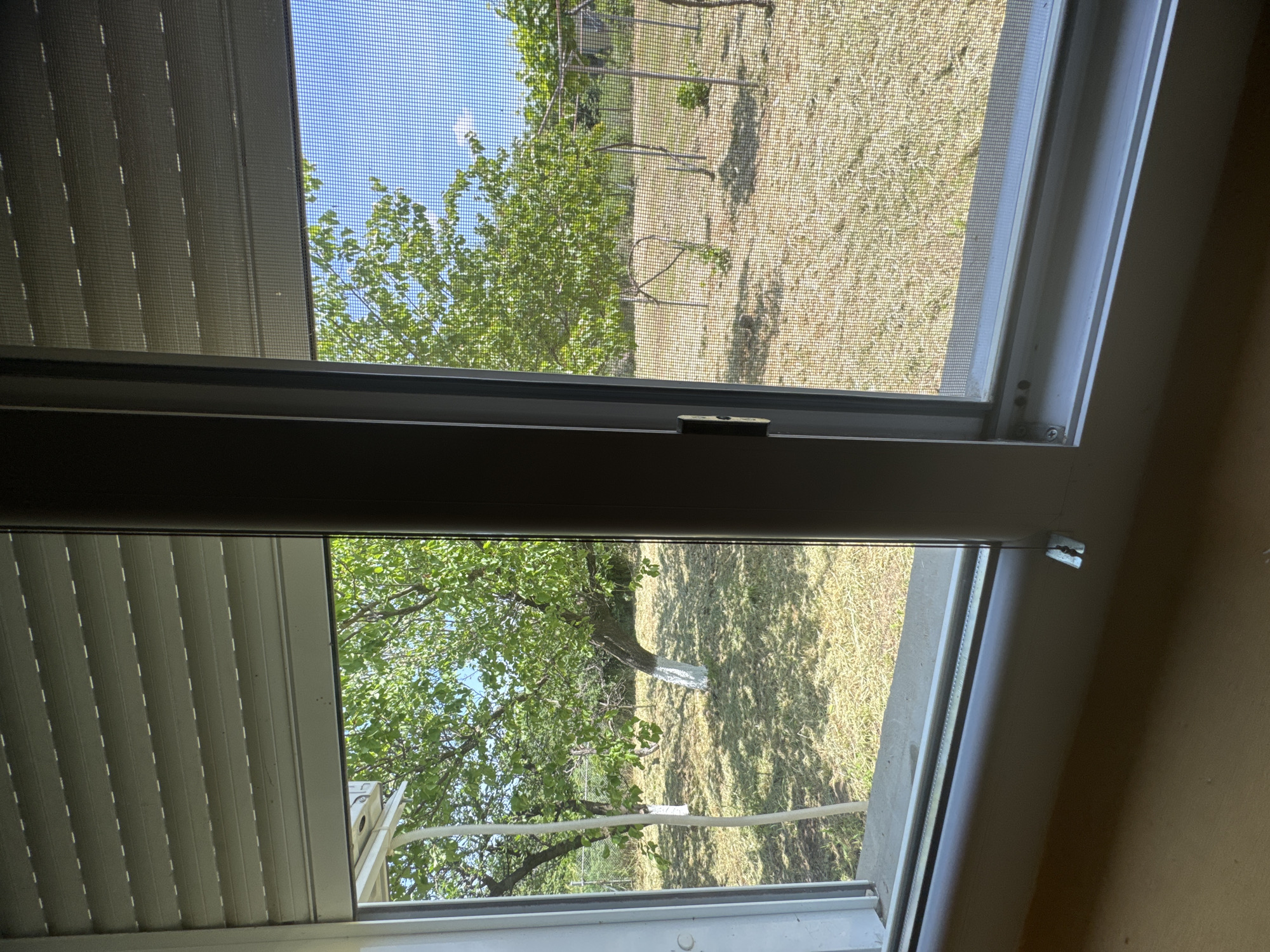 The image shows a view from inside a building through a window. The window is divided into two sections, with the top section open and the bottom section partially open. A screen covers both sections of the window. Blinds are partially closed on the left side of the frame.
Outside, there is a grassy area with several trees. In the distance, a fence can be seen. One tree has white material wrapped around its trunk and branches. A white tube-like object also stretches across the lower field of view.
Based on the location provided (Drenovets, Bulgaria), the environment is likely rural or suburban. There is no information to confirm any specific people, actions, or interactions.