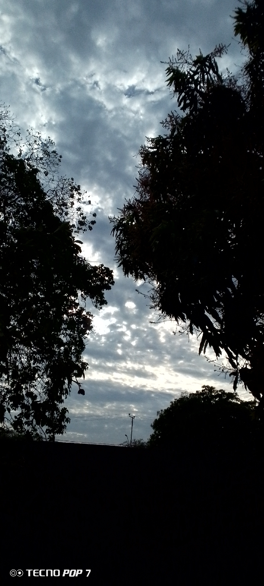 The image shows a view of the sky in what appears to be Altagracia, Venezuela, framed by trees. The sky is overcast with a mix of light and dark clouds, and the silhouette of a utility pole is visible in the distance. The trees in the foreground are dark and obscuring, suggesting the time of day may be late afternoon or early evening. A building is partially visible, and the camera watermark "TECNO POP 7" is present in the lower left corner.