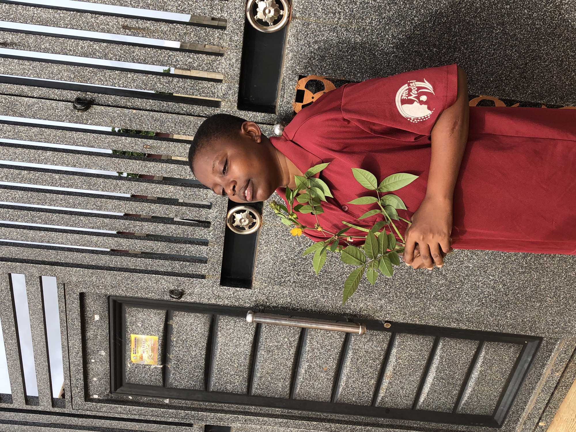A person with dark skin and short dark hair is seen lying down, holding green leaves and flowers, on what appears to be a large grey granite-like metal gate with horizontal metal bars and square metal accents. The person is wearing a maroon short-sleeved shirt with a white design on the left sleeve. The shirt is buttoned and has a collar. The gate features ornate metal decorations, a handle, and a framed sign, indicating the location as Unknown, Unknown.