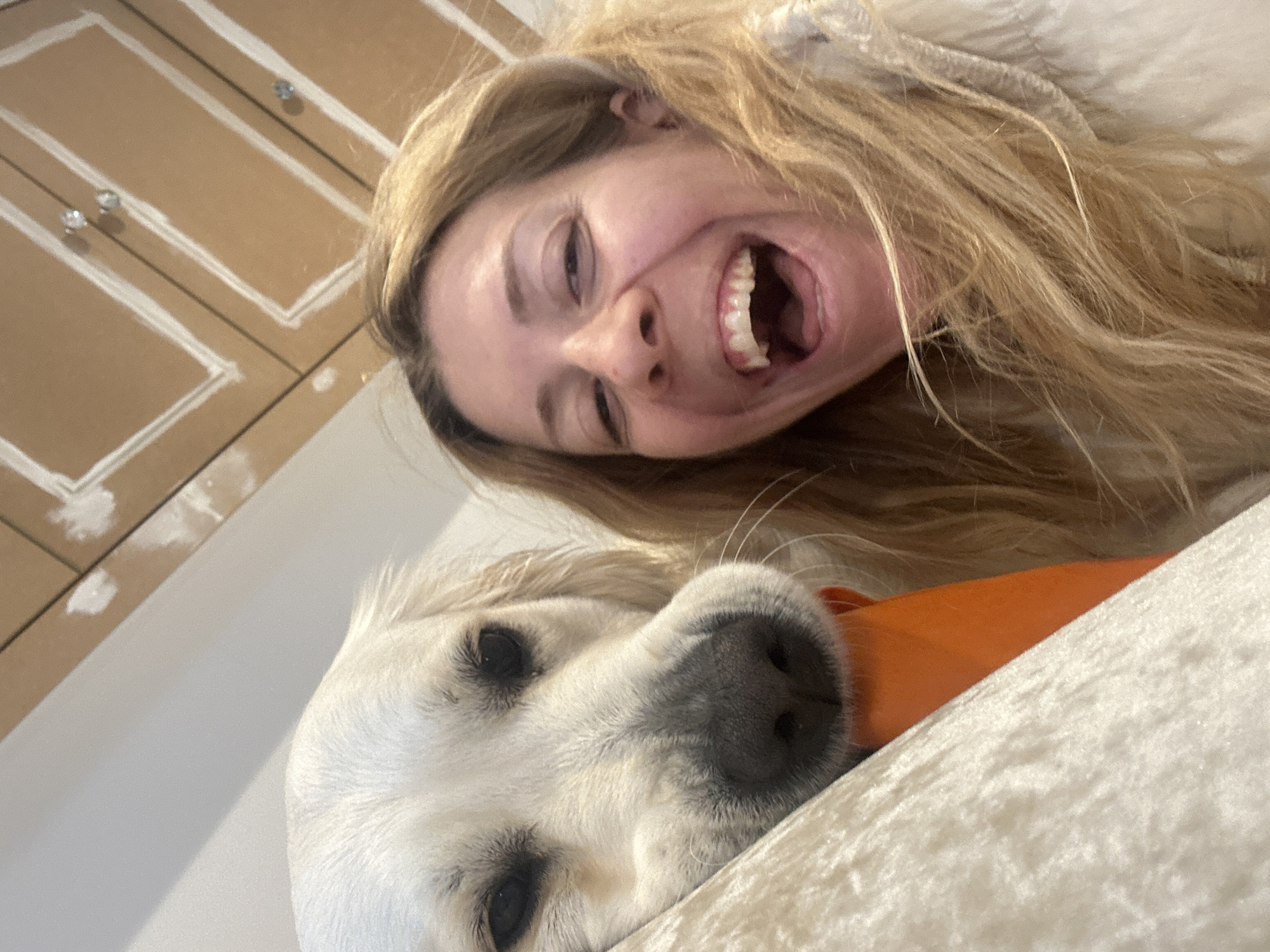 The image depicts an indoor scene featuring one adult female and one large dog. The specific location within London, United Kingdom, or any other city, cannot be determined from the visual evidence.
The female subject, positioned on the right side of the frame, has blonde, wavy, shoulder-length hair. Her mouth is wide open, revealing her upper and lower teeth, indicative of laughter or strong amusement. Her eyes are open.
On the left side, the head of a large dog with light-colored fur, consistent with a Golden Retriever breed, rests on a plush, cream-colored upholstered surface. The dog's eyes are partially closed. An orange object, appearing to be a carrot or a dog toy, is visible beneath the dog's muzzle, partially obscured by the upholstered surface.
The background consists of a brown wall or cabinet adorned with white chevron-patterned designs, some areas of which appear unfinished or partially painted. Two small, reflective, spherical fixtures, possibly decorative knobs, are mounted on this patterned surface.
The subjects are in close proximity, occupying the majority of the frame, suggesting a shared, intimate moment. The image appears to be captured from a low, close-up perspective, consistent with a selfie.