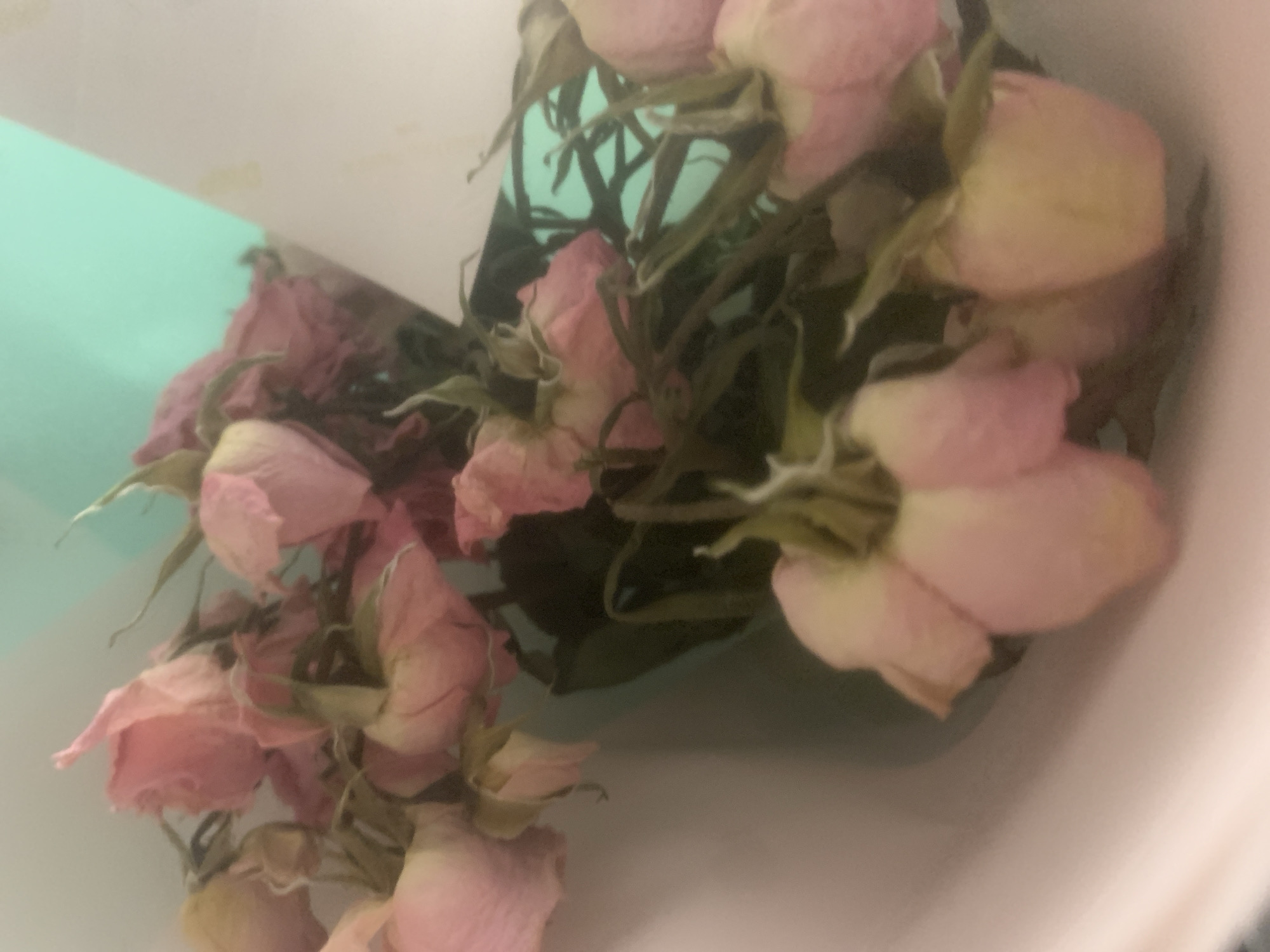 The image presents a tilted, close-up view of numerous dried pink roses or rosebuds. The flowers exhibit faded pink petals, some with yellowed edges, and brittle, dark green or brownish stems and leaves. They are clustered together, filling much of the frame. A soft, off-white or cream-colored surface, possibly the interior of a container or vase, frames the top and right side of the image. Behind and beneath the cluster of roses, a distinct light blue or mint green surface is visible, creating a contrasting background element. The scene depicts a still life of preserved flowers, likely indoors. No discernible activity is taking place, and there is no visible text.