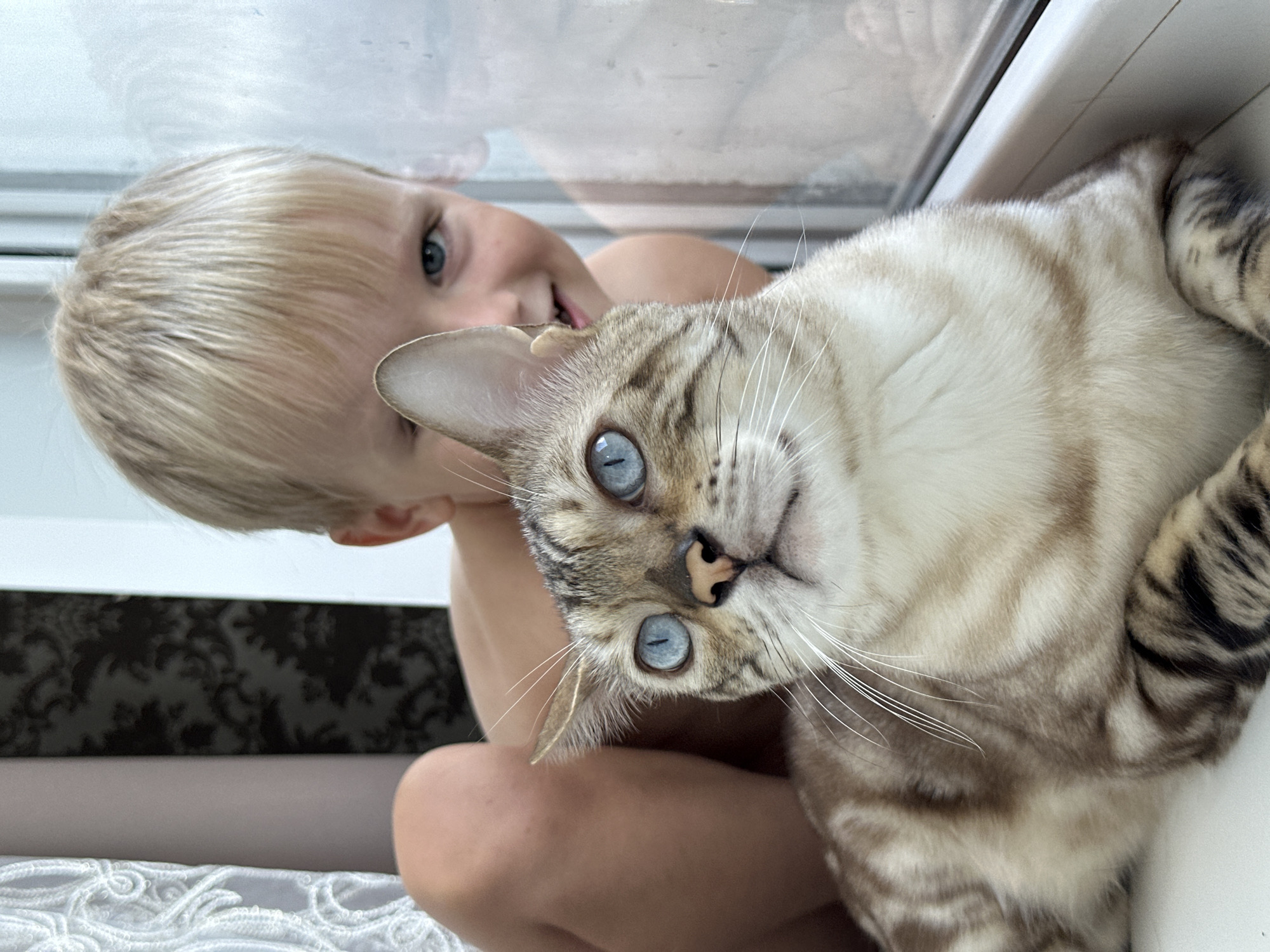 A young boy with blonde hair is partially visible behind a tabby cat with striking blue eyes. The cat is in the foreground, lying down and looking up and to the left with its ears perked. The boy is smiling and looking towards the viewer, with his head tilted slightly. They are both positioned on a white windowsill. To the left of the boy, a curtain with an ornate pattern is visible. Behind the boy, a dark, patterned wallpaper can be seen. The scene appears to be indoors, near a window. The overall impression is one of a candid moment between a child and his pet. The image does not provide any specific details to indicate its location in the city of Energetik, Russia.