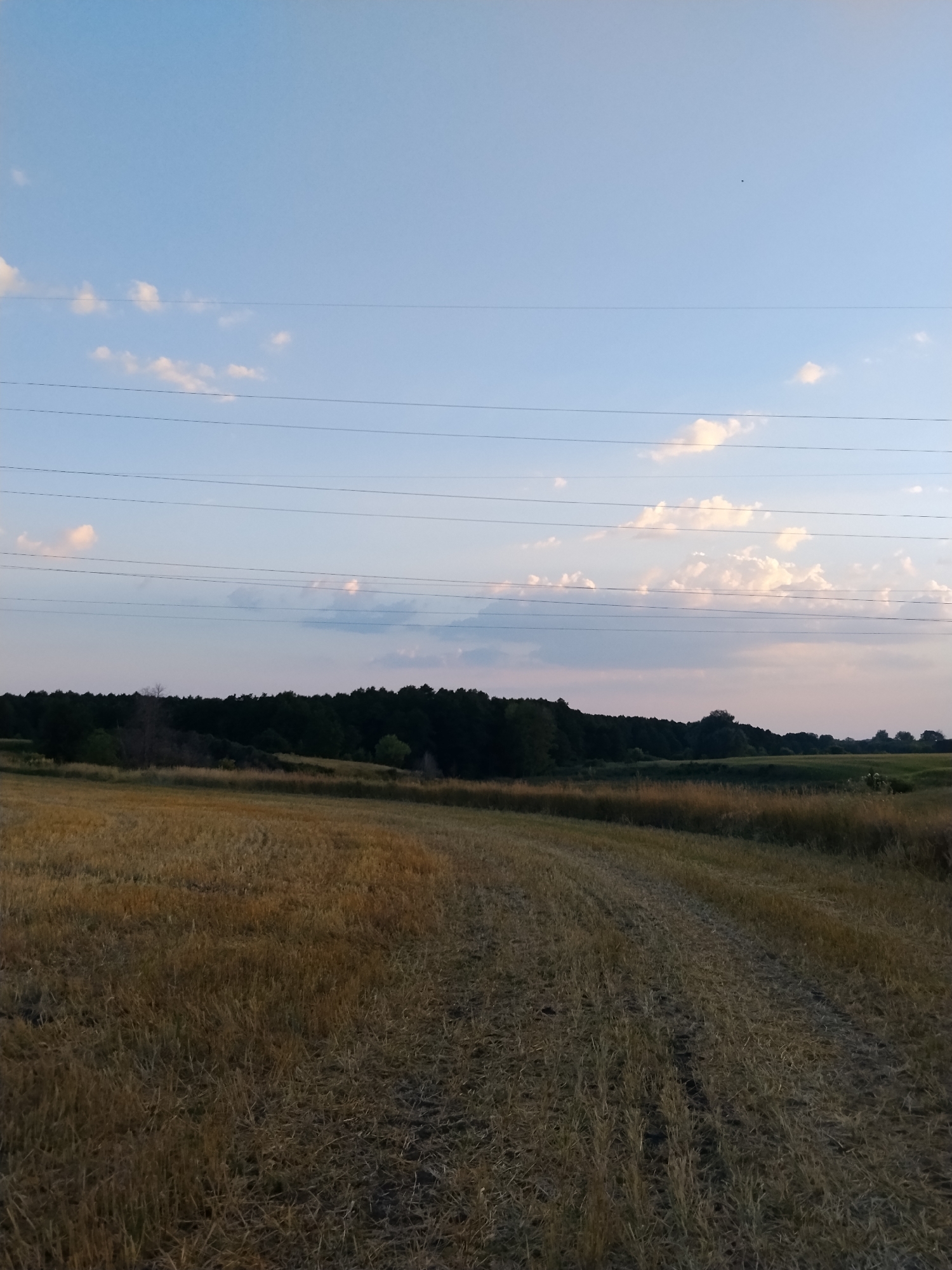 The image shows a rural landscape with a harvested field in the foreground and a forest in the background. The sky is blue with scattered white clouds and a few power lines are visible. There are no people or animals in the image. The scene appears to be taken in the evening or early morning, given the soft lighting. The location is identified as Dakalivka, Ukraine.
