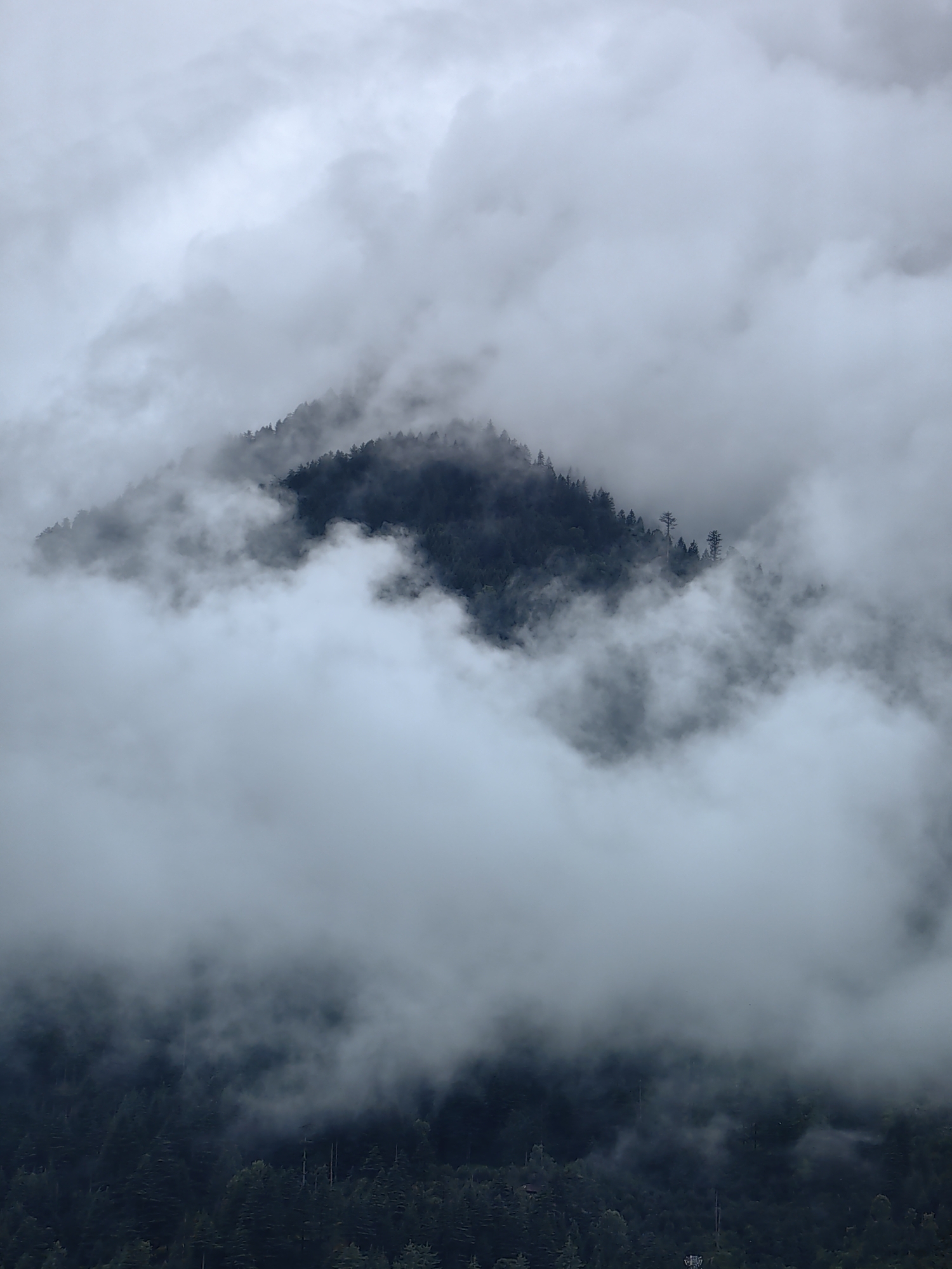 The image shows a mountainous landscape shrouded in thick, gray clouds. A dense evergreen forest covers the slopes of the mountains, with the upper portions of the peaks disappearing into the mist. The trees are dark green, and some taller, sparser trees are visible on the upper slopes, appearing as silhouetted forms against the cloudy sky. The overall atmosphere is moody and atmospheric, suggesting a foggy or overcast day. The specific location within Vashisht, India, is not identifiable from the visual information provided in the image itself.