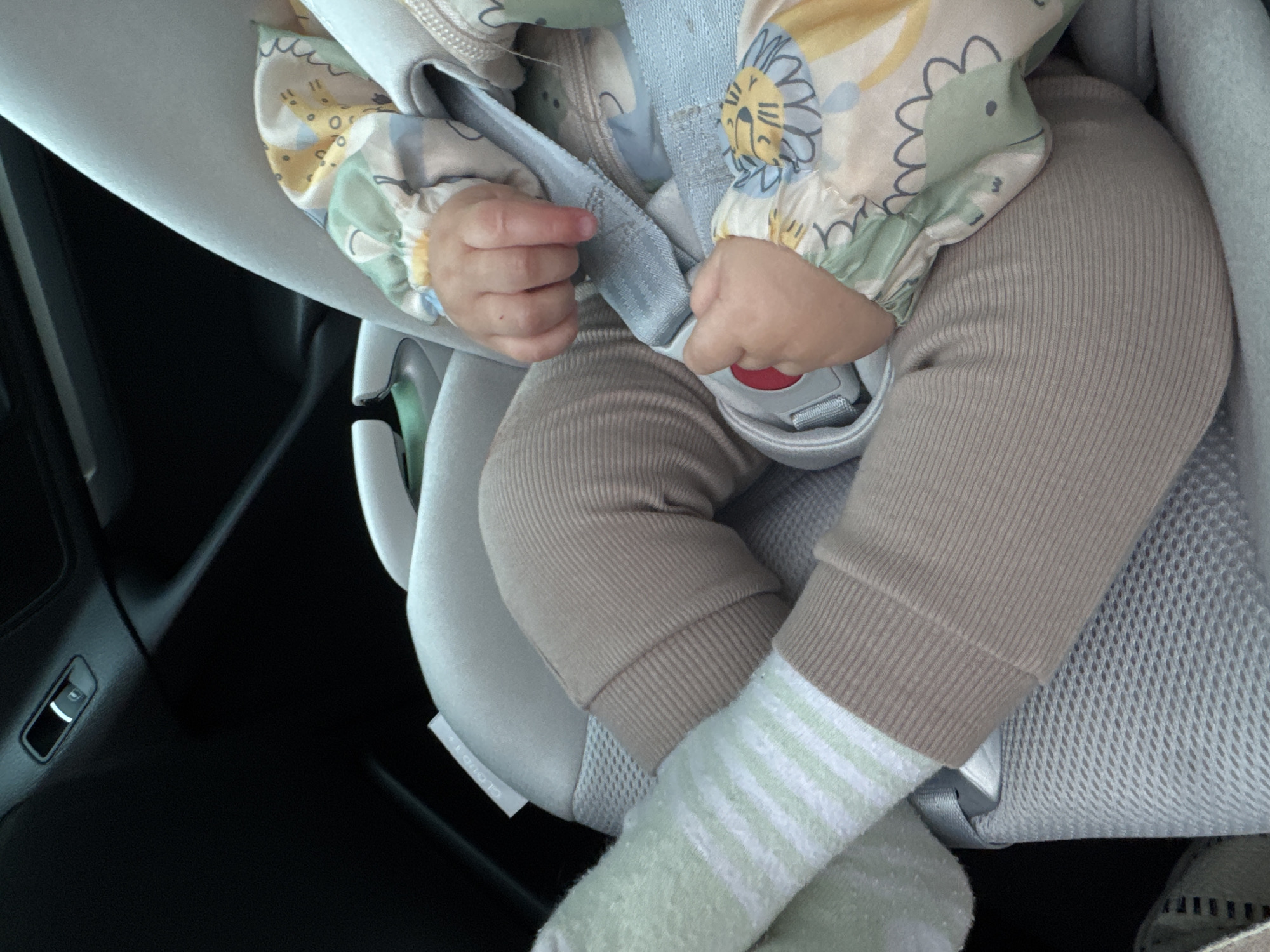 A close-up, low-angle, eye-level shot captures a baby secured in a car seat, likely within a vehicle in Siegburg, Germany. The baby's legs, clad in beige ribbed leggings and light green and white striped socks, are visible. The baby is wearing a white long-sleeved pajama set adorned with a colorful pattern of cartoon animals, including a lion. The baby's hands are resting on the car seat's blue harness straps, with one hand positioned near the red buckle release button. The car seat itself is light grey and appears to be part of a vehicle's interior, suggested by a dark, textured surface in the upper left corner, possibly a car door panel or dashboard. The lighting is natural, casting soft shadows.