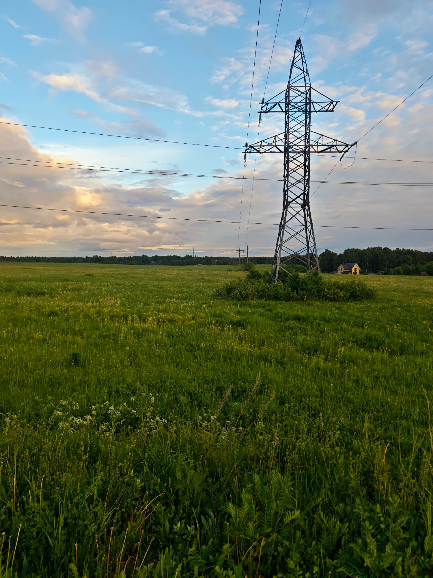 A low-angle, eye-level photograph depicts a grassy field under a partly cloudy sky, with a power transmission tower as the dominant feature. The tower, constructed of dark gray metal, stands prominently in the middle ground, its open lattice structure extending high into the sky. Three power lines extend horizontally from the tower. The field is lush green, with varying textures and heights of grass. In the far distance, a few trees are visible. A yellow house is faintly visible in the background. The sky displays a mix of blue and white clouds, with hints of orange and pink near the horizon. The location is near Курово, Russia.