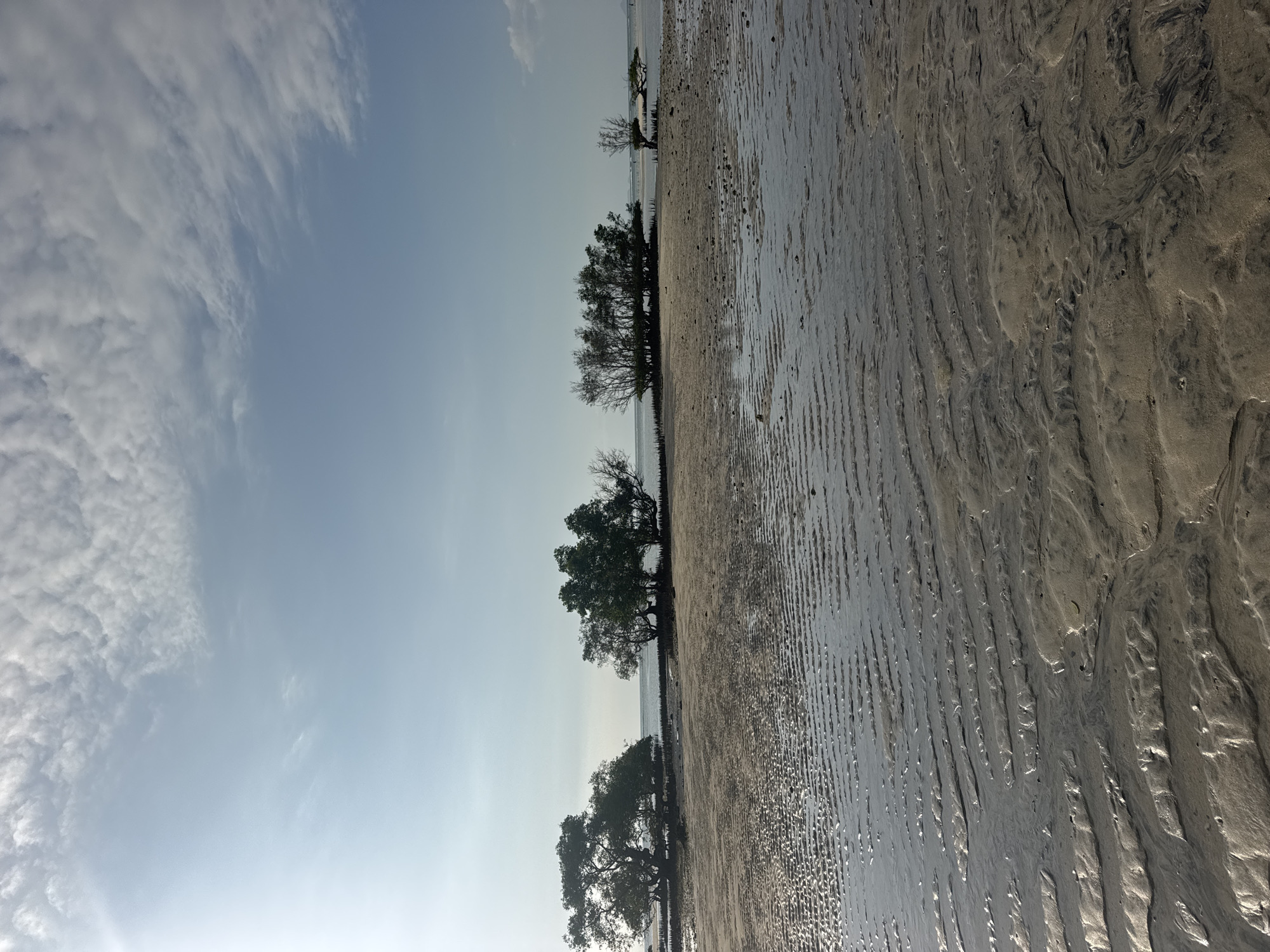 The image shows a low tide scene at a beach with shallow water and exposed sand. Several trees, likely mangroves, are visible growing from small islands or sandbars in the distance. The sand in the foreground is wet and displays distinct rippled patterns formed by the receding water. The sky is clear blue with scattered white clouds. The scene is serene and natural. No people or structures are present. The location is Unknown, Indonesia.