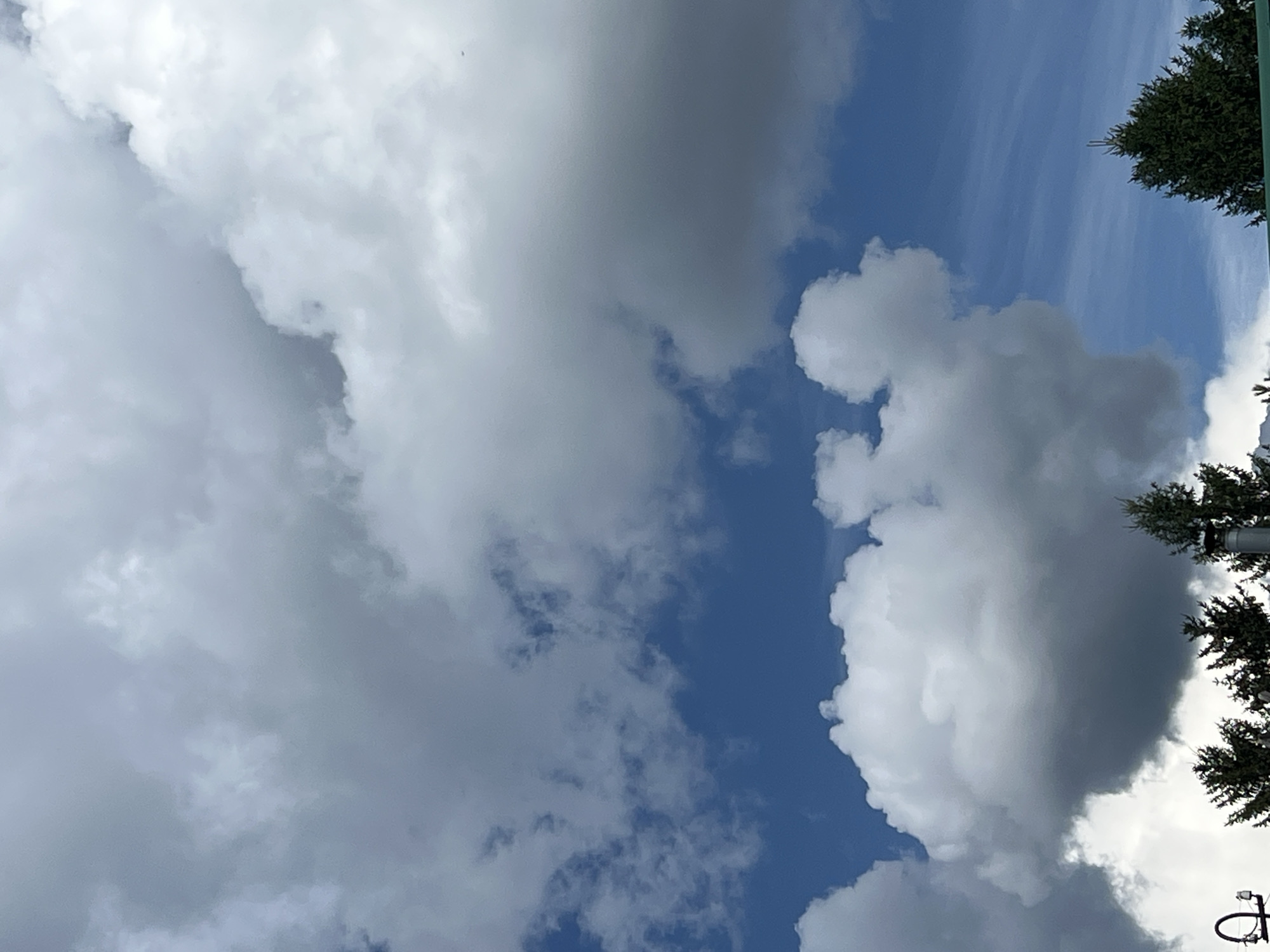 This is a medium-format, eye-level shot of the sky above Mochishche, Russia, featuring a variety of cloud formations against a bright blue sky. The bottom portion of the image shows the tops of several evergreen trees and a glimpse of a green roofline. A metallic object with an insulator, possibly a utility pole fixture, is visible on the far left. The clouds range from bright white cumulus to darker, more diffused formations, suggesting a dynamic weather system. The overall impression is one of a bright, potentially breezy day.