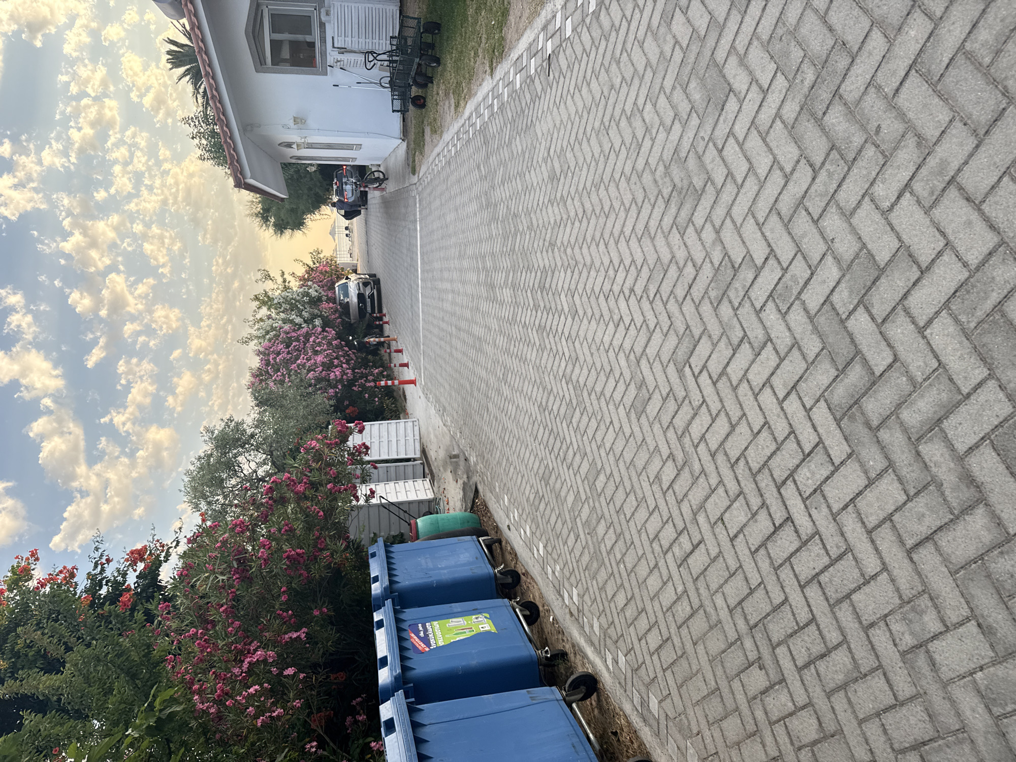 This image depicts an outdoor scene in Potos, Greece, likely in the late afternoon or early evening given the soft, warm lighting and cloudy sky. The foreground is dominated by a grey brick pathway laid in a herringbone pattern, running diagonally across the frame. To the left of the pathway, several blue recycling bins with wheels are lined up. One bin has visible text on a label, featuring green and white graphics of recyclable items and text in a language other than English, possibly Greek.
Beyond the bins, lush green foliage with vibrant pink and red flowers creates a natural border. In the background, a white building with a red-tiled roof is visible. A dark-colored car is parked near the building, and further down the pathway, another car is visible, along with some orange traffic cones. The sky is filled with soft, illuminated clouds, suggesting either sunrise or sunset. The overall atmosphere appears peaceful and serene, a quiet moment in a residential or commercial area of the Greek town.