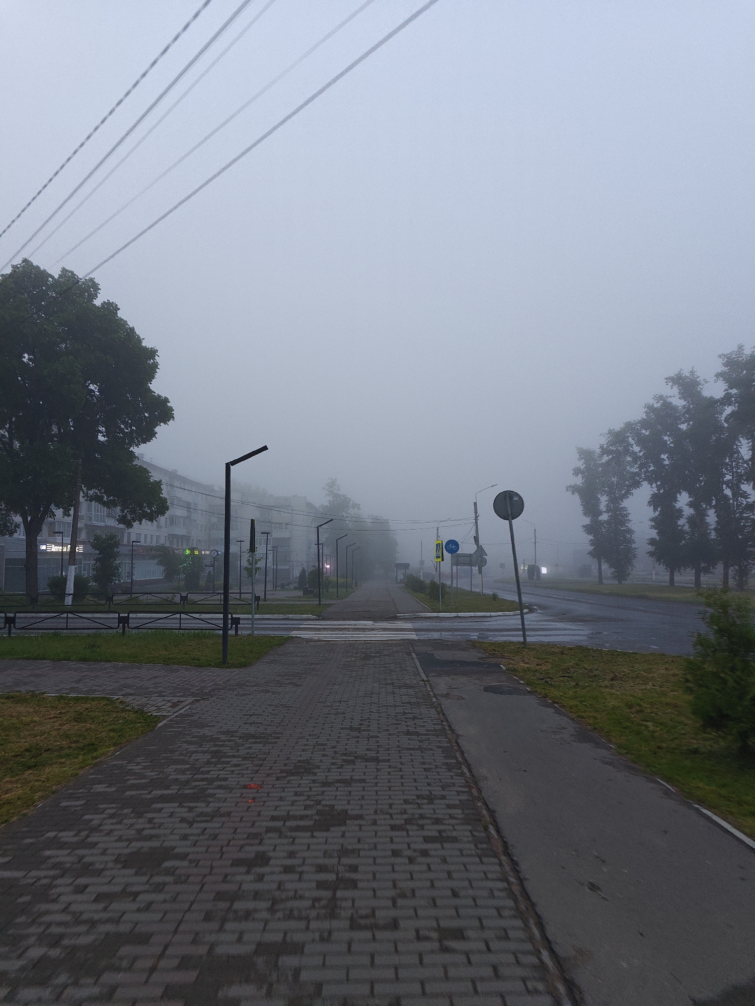 This image captures an urban street scene in Chaikovsky, Russia, enveloped in dense fog, suggesting either early morning or late evening. No people are visible, contributing to a quiet, serene, and somewhat mysterious atmosphere.
The main subject is a path leading into the fog. On the left, a paved pedestrian walkway of dark grey cobblestones, wet from the moisture, extends into the distance. To its right, a narrower asphalt sidewalk runs parallel, with grass verges flanking both. Further right, a main asphalt road with visible crosswalk markings is also wet, reflecting the muted light.
Dominant elements include:
* **Fog:** A thick layer of fog obscures the sky and distant buildings and trees, creating a soft, diffused light and limiting visibility.
* **Vegetation:** Dense green trees with full foliage line the left side, partially obscuring multi-story buildings. On the right, taller, sparser trees stand silhouetted against the fog. Grass areas are green and well-maintained.
* **Infrastructure:** Modern black streetlights with rectangular heads are spaced along both sides of the path. Overhead, multiple power lines or utility wires stretch diagonally across the top-left quadrant of the frame. Several road signs are visible on the right, including a blue circular sign indicating a bicycle path and a yellow diamond-shaped sign likely for a pedestrian crossing. Another circular sign with a diagonal bar is also present.
* **Buildings:** On the left, behind the trees, multi-story buildings with windows and some faint interior lights or glowing commercial signs (one possibly displaying "24" and another "Livre a" or similar, but indistinct) are partially visible through the mist.
The wet surfaces and heavy fog are notable details, giving the scene a fresh, damp feel. A small, indistinct reddish object is visible on the cobblestone path near the center-bottom. The overall impression is one of stillness and quiet solitude.