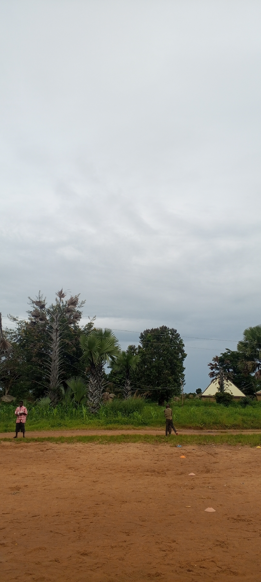 The image captures an outdoor scene in Ohit, Nigeria, under a cloudy sky. In the foreground, a sandy, reddish-brown surface dominates, suggesting a dry, unpaved area like a field or road. Two individuals are visible. On the left, a person stands facing right, wearing a red and white checkered shirt and dark shorts. On the right, a second person, also facing right, is seen from the back, dressed in dark clothing. Scattered across the sandy ground are several small, brightly colored cones, predominantly orange and yellow, and a few white conical markers, possibly for training or a game.
The middle ground features a lush, green grassy area with various trees and vegetation. Prominently featured are several palm trees, some with distinctive dry, shedding fronds, and a large, dense green tree with a full canopy. In the background, a light-colored, pyramid-shaped structure, possibly a dwelling or a tent, is visible. Power lines stretch across the scene, supported by utility poles. The overall impression is of a rural or semi-rural setting within Ohit.