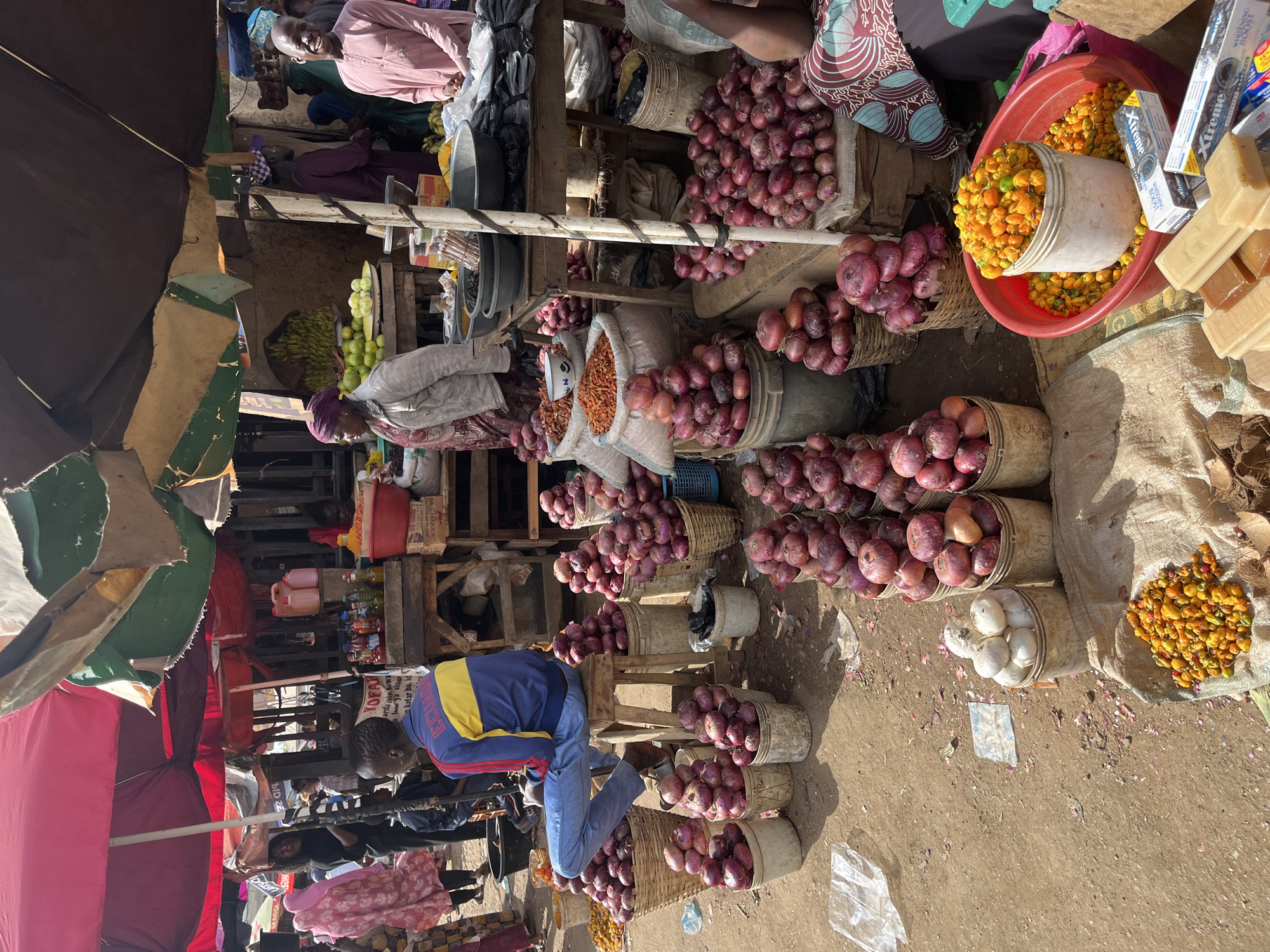This is a daytime, eye-level photograph taken at an outdoor market in Rafin Par, Nigeria. The scene is bustling with activity, with vendors and shoppers interacting amidst piles of fresh produce. In the foreground, large quantities of red onions are displayed in woven baskets and buckets, some forming conical mounds. A young man in a blue and yellow jacket is seated on a stool, looking towards the left of the frame, his legs crossed. To the right, a red basin overflows with small, yellow peppers. Several bags of dried red peppers are also visible. In the background, a variety of fruits, including bananas and green apples, are arranged on wooden stalls, shaded by colorful awnings. Several people are visible in the middle ground, some of whom appear to be vendors or shoppers. The ground is dirt, with scattered debris. The overall impression is a vibrant and active marketplace.