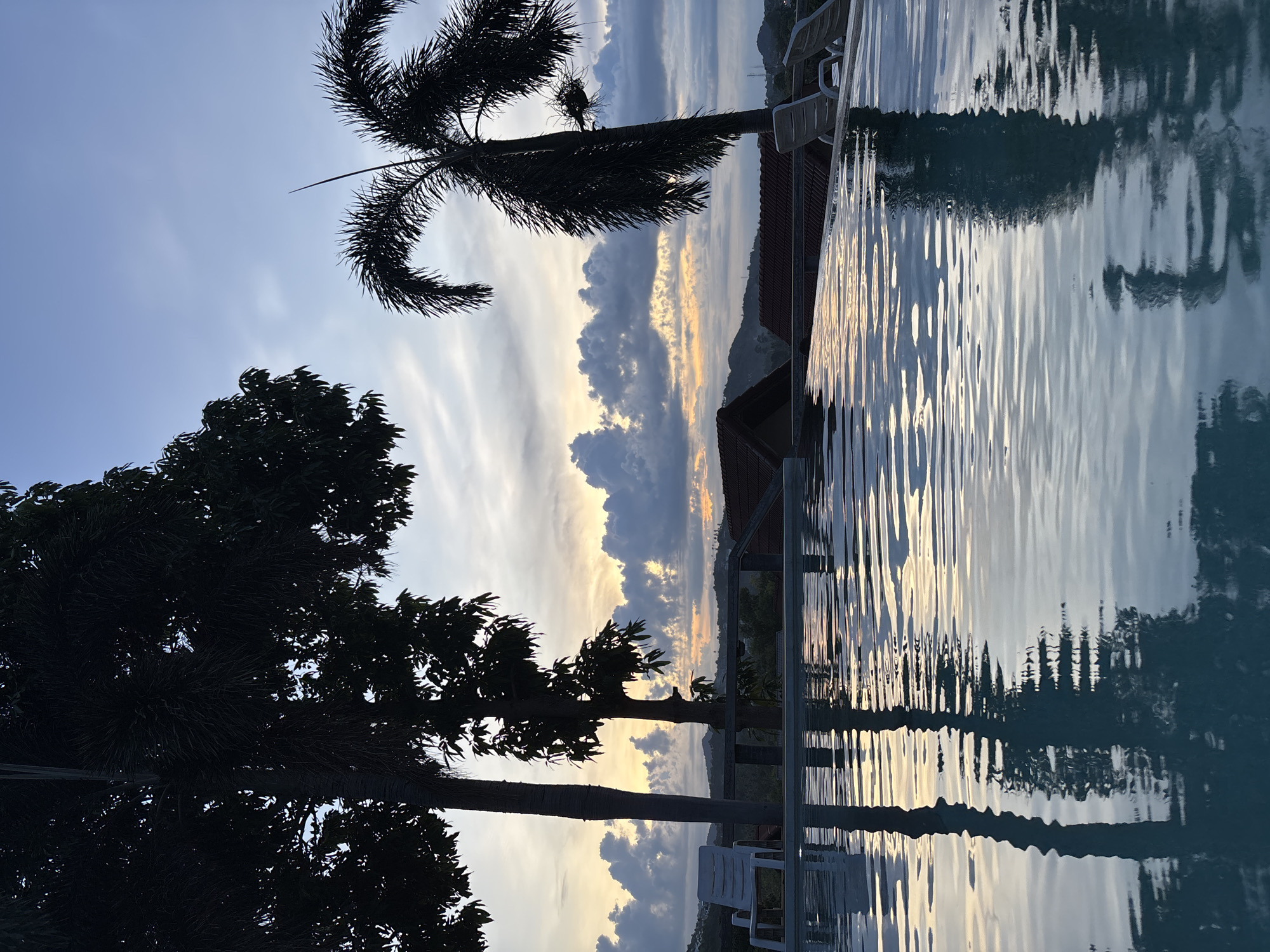 An outdoor infinity swimming pool overlooks a landscape at dusk. The pool is in the foreground, its surface reflecting the sky and surrounding trees. Two tall palm trees and another leafy tree are silhouetted against the sky. In the middle ground, houses with terracotta roofs are visible, along with lounge chairs. The background features rolling hills and a cloudy sky with hints of sunset colors. The scene suggests a tranquil, tropical setting.