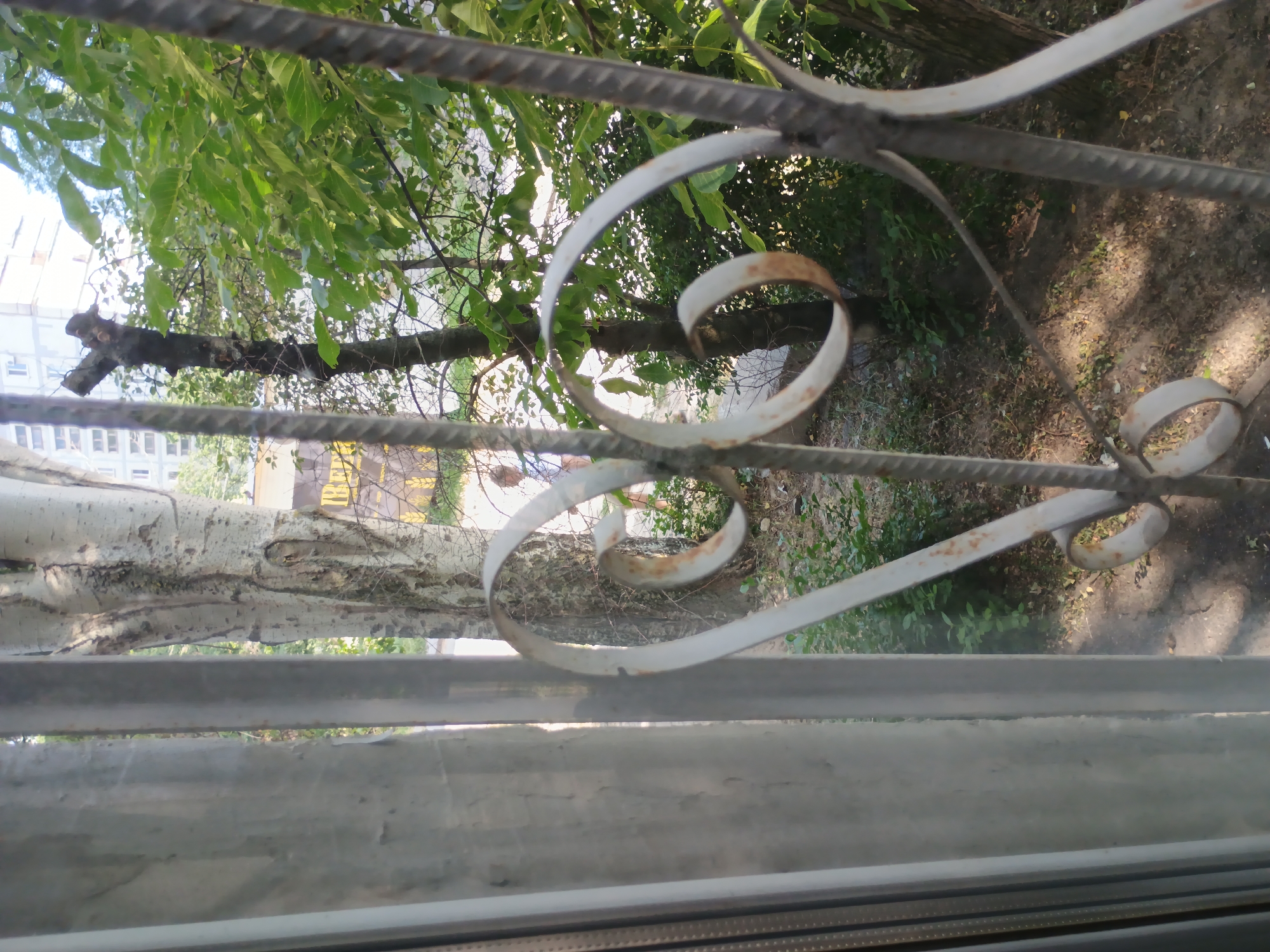 The image shows a view through a metal grate, likely a window or fence, looking out onto a natural scene with some urban elements. The grate is made of thick, ribbed metal bars, with decorative white, rusted metal scrollwork interspersed. Beyond the grate, a large tree trunk with distinctive white and black patterned bark is prominent in the foreground, lying horizontally.
Behind the tree, there are lush green leaves and branches of trees, suggesting a temperate climate and likely daytime. Sunlight filters through the leaves, creating dappled light and shadows on the ground, which appears to be dirt and dry leaves. In the background, a multi-story building with white and some yellow accents is visible, indicating an urban or suburban setting. The presence of the building and the grate suggests the viewpoint is from inside a structure or a secured outdoor area.
The image appears to be taken on a sunny day, judging by the light. There are no people visible in the frame. The overall mood is somewhat muted due to the obstruction of the grate, but the greenery and sunlight evoke a sense of nature even within a built environment. The location context points to Zaporizhzhia, Ukraine. No discernible text is visible in the image.