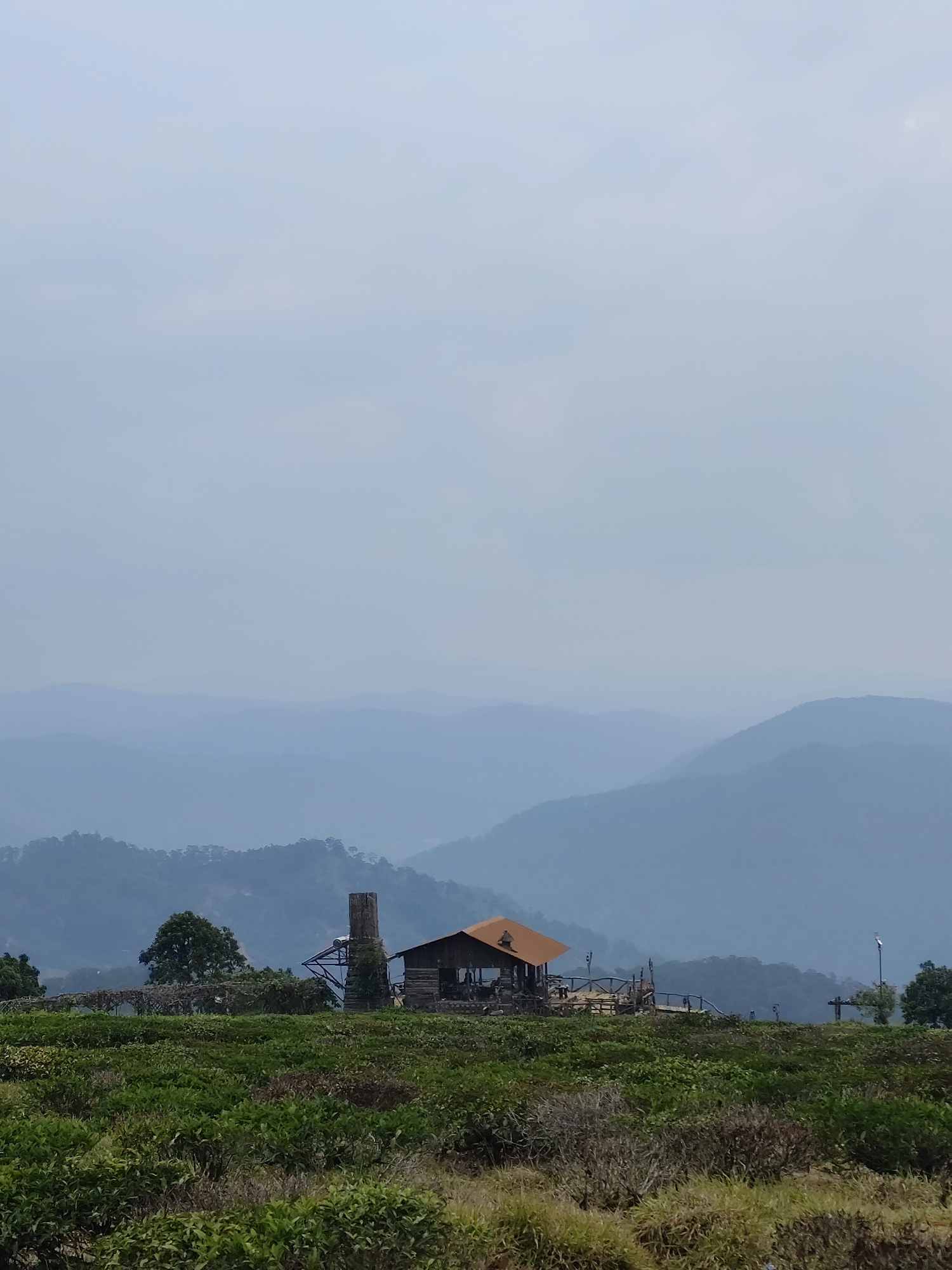 The image depicts a building with an orange roof and a tall chimney, situated on a hill in what is likely the city of Phát Chi, Vietnam, based on the description. The foreground is filled with green vegetation, possibly a tea plantation. In the background, layers of blueish mountains fade into a hazy sky. The structure appears somewhat rustic, possibly a tea factory or a related establishment. The overall scene conveys a sense of tranquility and scenic beauty.
