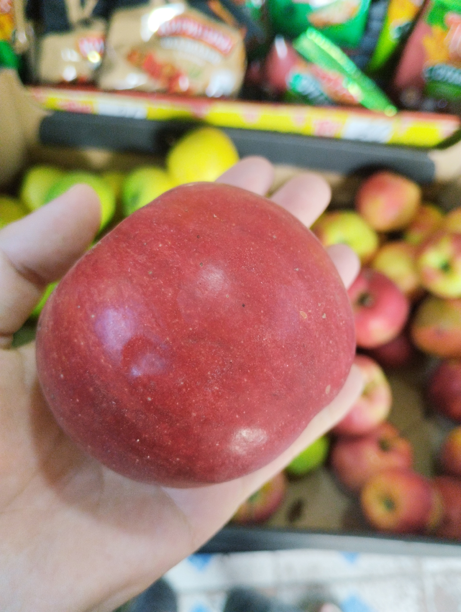 A close-up shot shows a person's hand holding a large, bright red apple. The apple has a smooth, slightly glossy surface with visible small white specks and subtle lighter red patches, indicating natural variations in its coloring. The hand appears to be gently cradling the fruit, with fingers curled around its base. In the background, out of focus, are rows of other apples, a mix of reds and yellows, suggesting a fruit stand or market stall. Further in the background, shelves hold various products, some appearing to be packaged snacks. The lighting is bright, highlighting the apple in the foreground. The setting is likely a market in Калыс-Ордо жаңы курулушу, Kyrgyzstan, given the context provided.