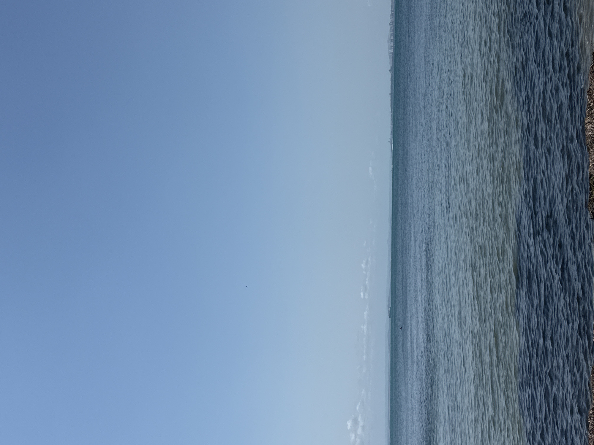 The image depicts a serene seascape with a vast expanse of clear blue sky dominating the upper portion. Below the sky, a tranquil body of water stretches towards the horizon. The water exhibits varying shades of blue and green, with subtle ripples on its surface. In the distance, a faint outline of land is visible, suggesting the presence of a coastline or distant city, possibly Pomorie, Bulgaria, given the context. A few wispy clouds dot the horizon line. The foreground of the image is partially obscured by what appears to be the waterline, with some dark, textured material visible at the very bottom edge, possibly seaweed or debris. There are no people or specific identifiable objects in the scene, besides a faint, distant object that could be a boat or a bird in the sky. The overall impression is one of a calm and open natural environment.