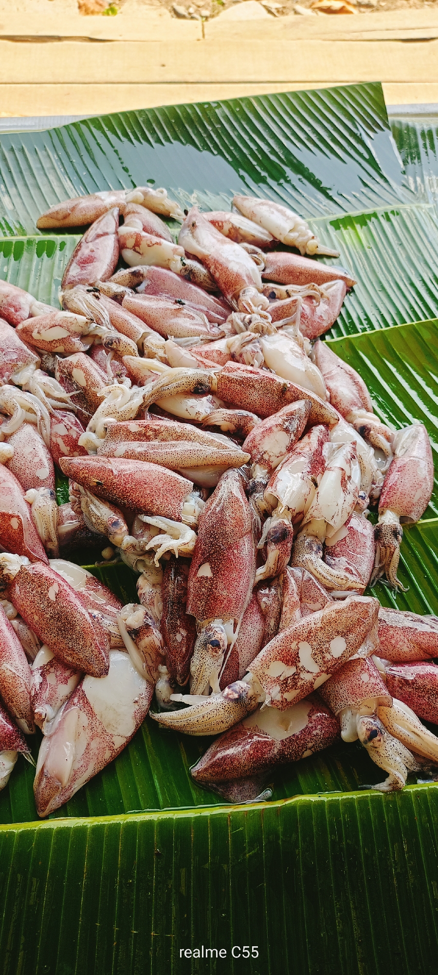 A large pile of fresh squid is prominently displayed on a vibrant green banana leaf in an outdoor setting, likely a market in Lhokseumawe, Indonesia. The squid, numbering in the dozens, are whole with their heads and tentacles intact, exhibiting a characteristic pale white color with scattered reddish-brown speckles and patches across their bodies. Some of the squid appear slightly translucent, indicating their freshness.
The banana leaf serves as a natural, traditional mat for the seafood, and small droplets of water are visible on its surface, suggesting the squid may have been recently washed or are kept moist to maintain freshness. In the background, an out-of-focus wooden structure or ground made of light-colored planks is visible, further hinting at a rustic, open-air market environment.
The scene captures the display of raw seafood for sale, common in local markets. The lighting suggests it is daytime. A few small flies can be observed on some of the squid, a common occurrence in such open-air displays. There are no people visible in the frame. At the bottom center of the image, the text "realme C55" is visible, indicating the device used to capture the photograph.