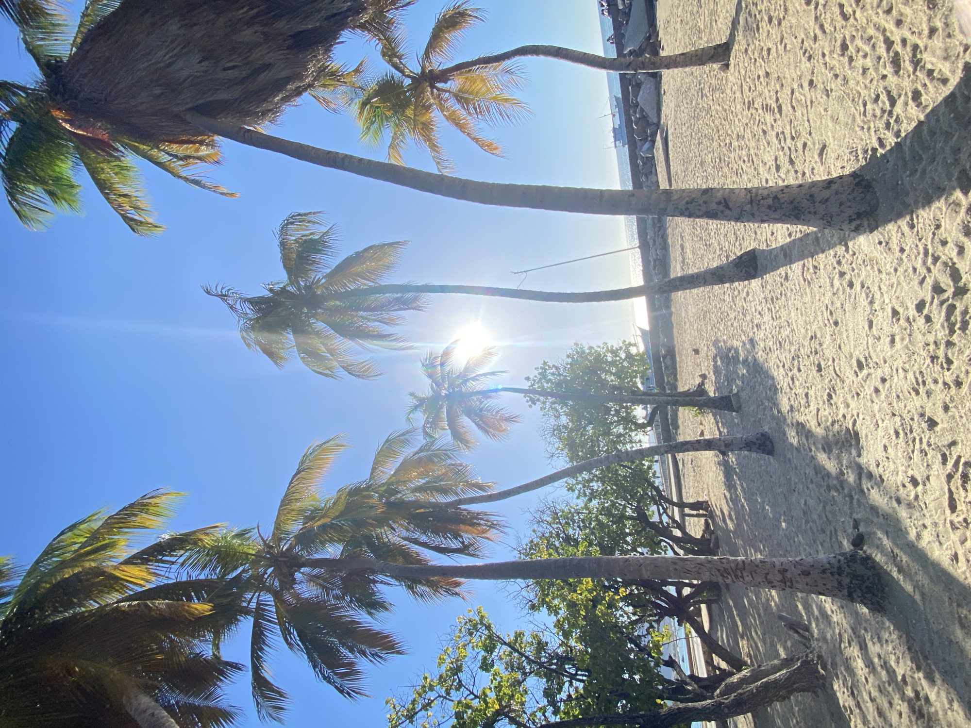 The image captures a sunlit beach scene in Juan Griego, Venezuela. The foreground is composed of light-colored sand displaying textured surfaces and elongated shadows cast by several palm trees. At least seven palm trees are visible, varying in height and inclination, with their fronds appearing green and yellowish, backlighted by the sun. Multiple smaller trees with green foliage are present in the mid-ground and left-hand side. A rocky barrier or breakwater separates the sandy area from the ocean. On the right side of this barrier, a small group of approximately three to five individuals is discernible. The ocean, appearing calm, extends into the background. A light-colored boat is situated on the water in the distance, and another smaller vessel is partially visible on the far left. The sky is clear blue, featuring a prominent sun flare originating from the upper left quadrant.